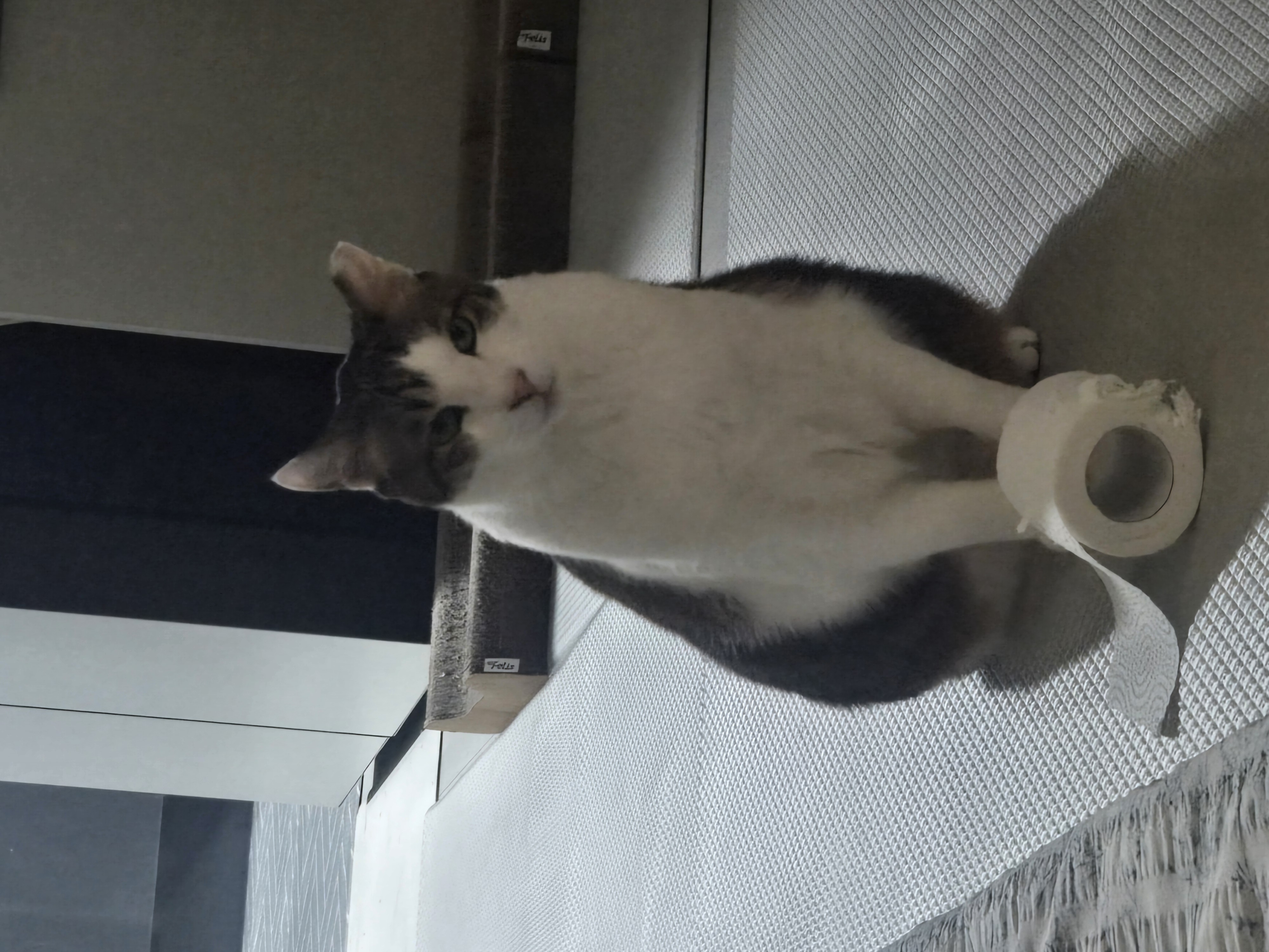 아띠의 4주년 입니다~!!^^