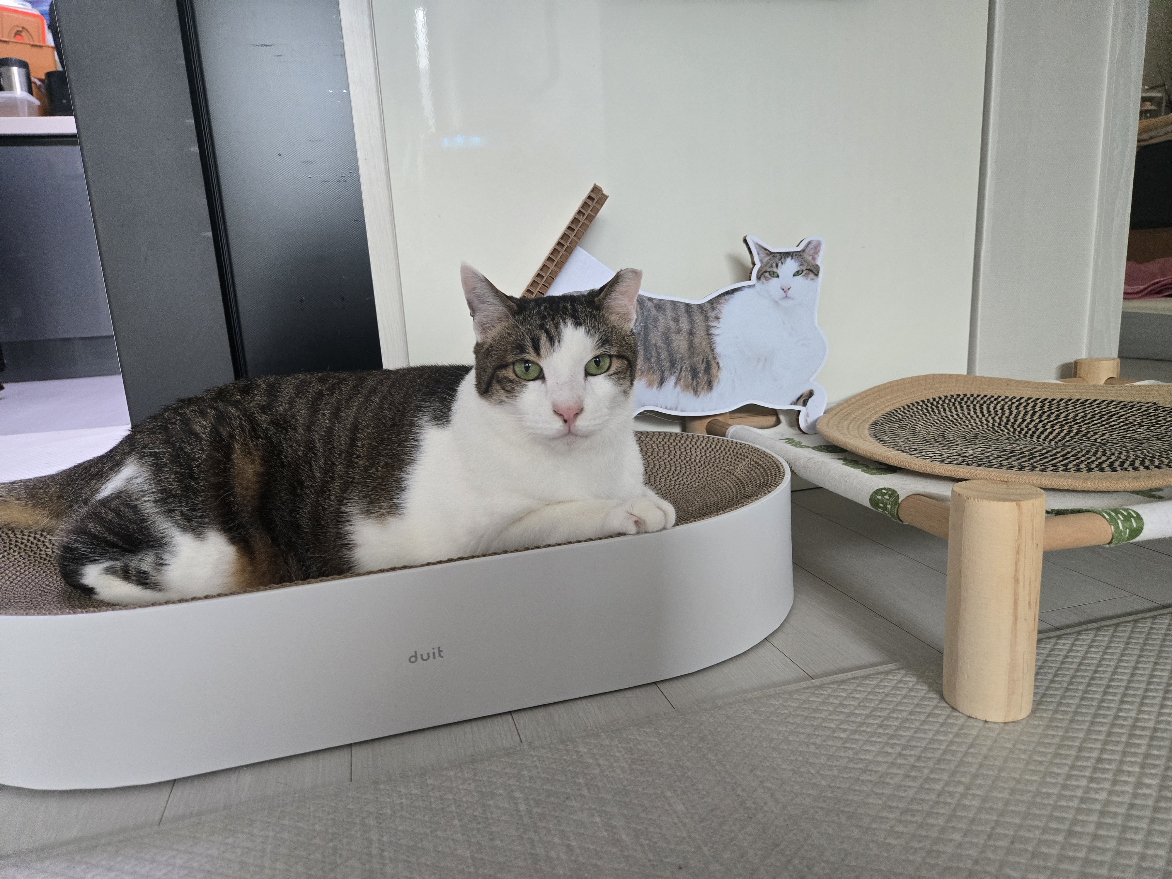 아띠의 4주년 입니다~!!^^