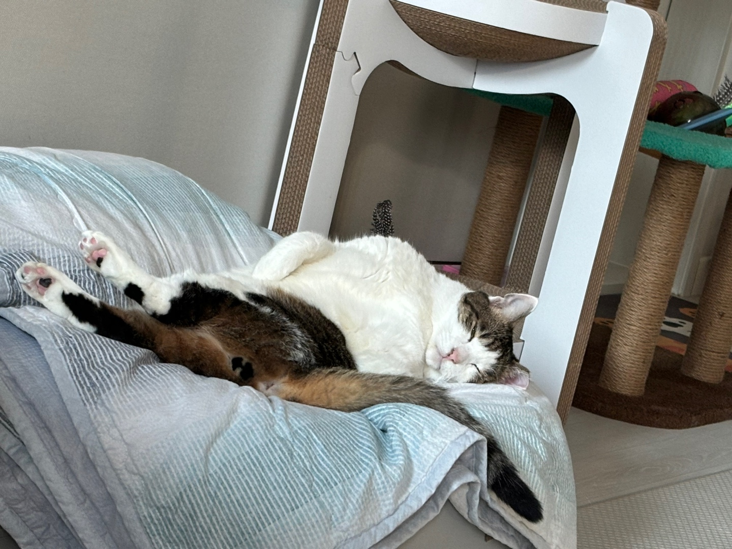 아띠의 4주년 입니다~!!^^