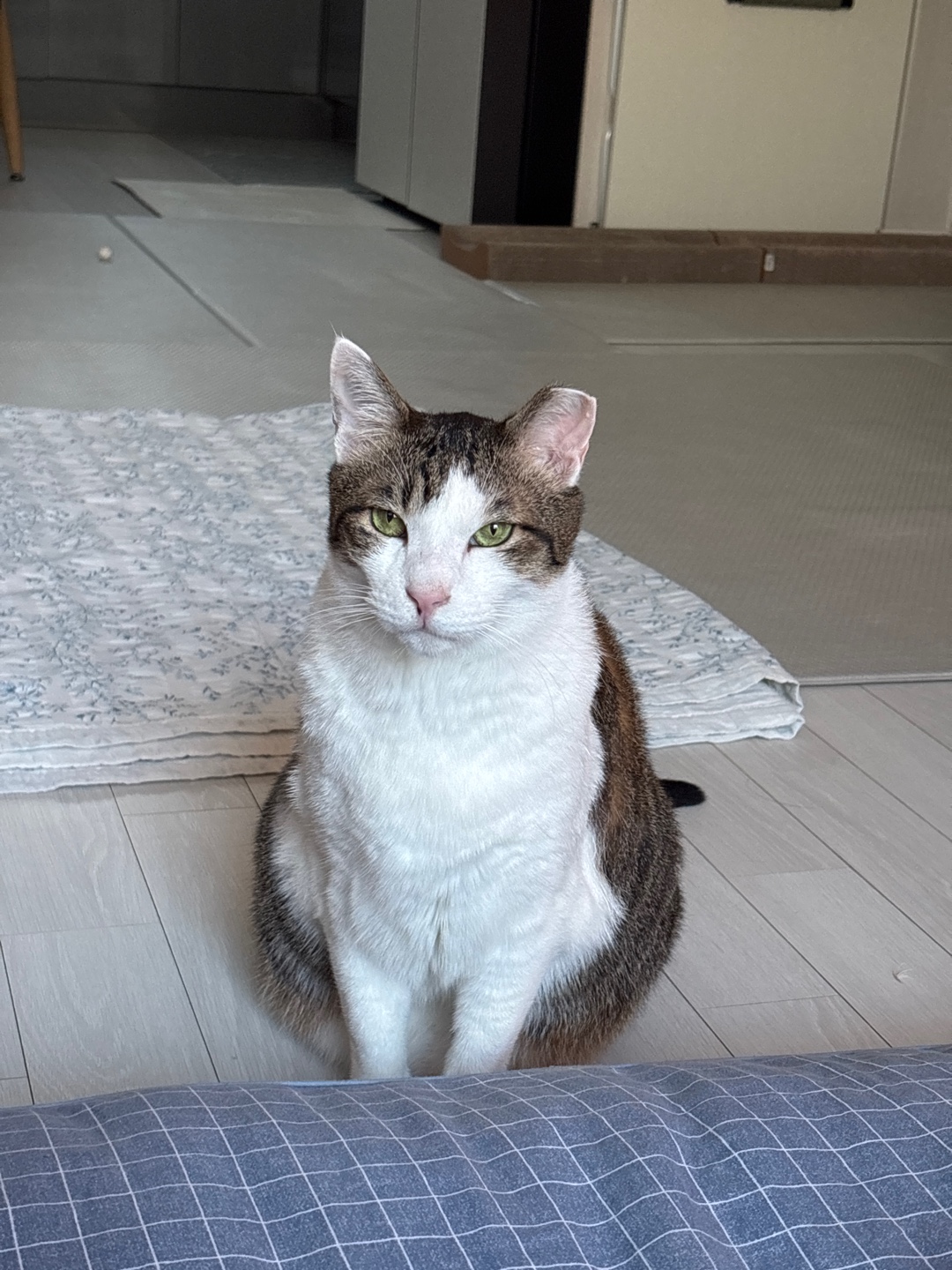 아띠의 4주년 입니다~!!^^