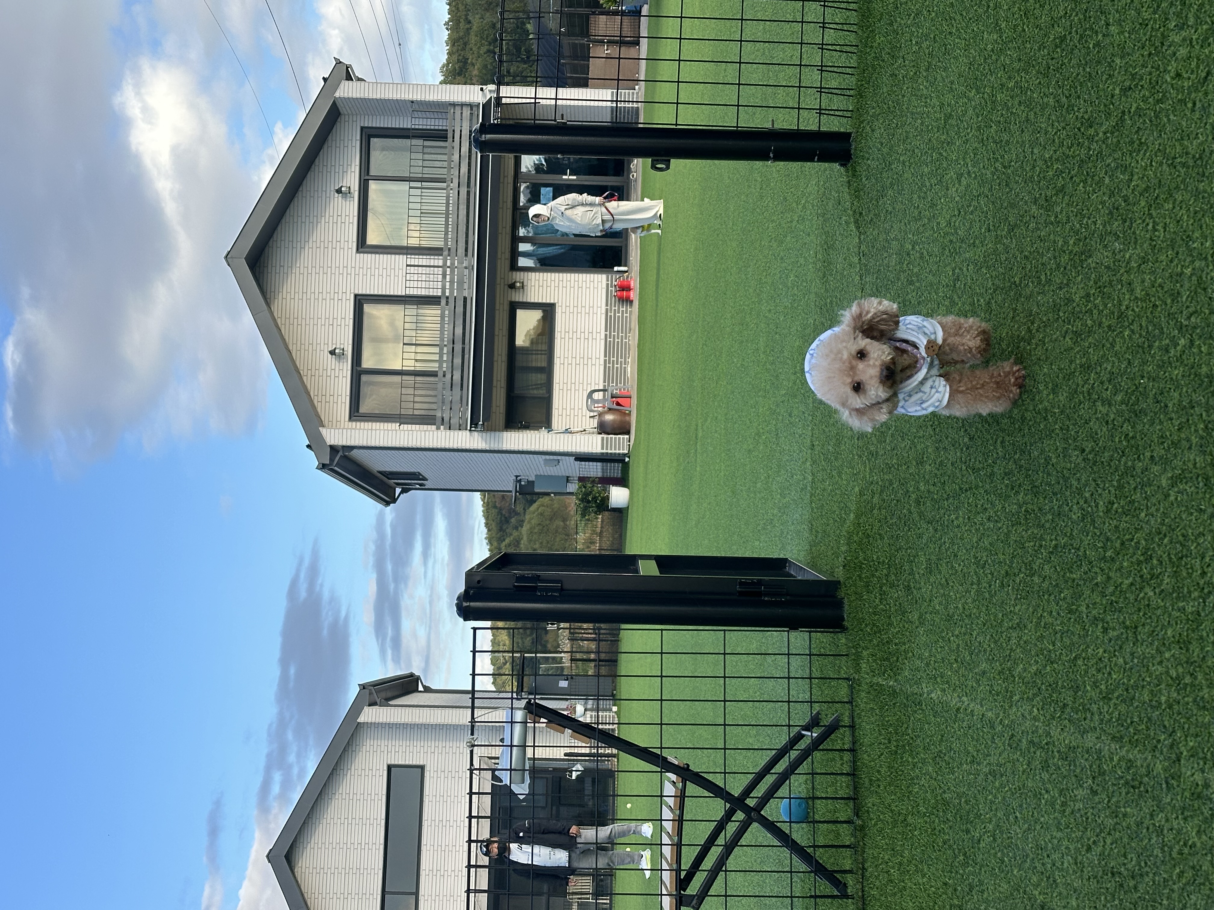 곤지암 헤이즐 입양 4주년 후기 입니다~