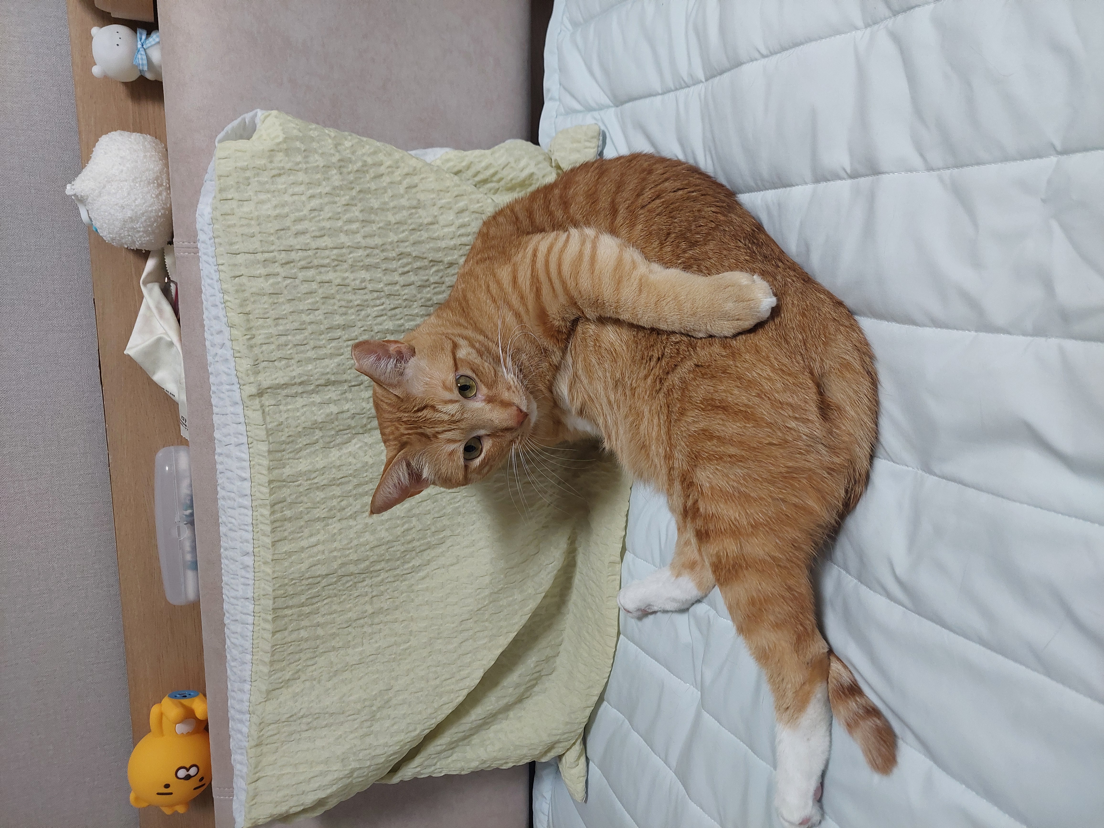 가을이와 맞이하는 세번째 여름