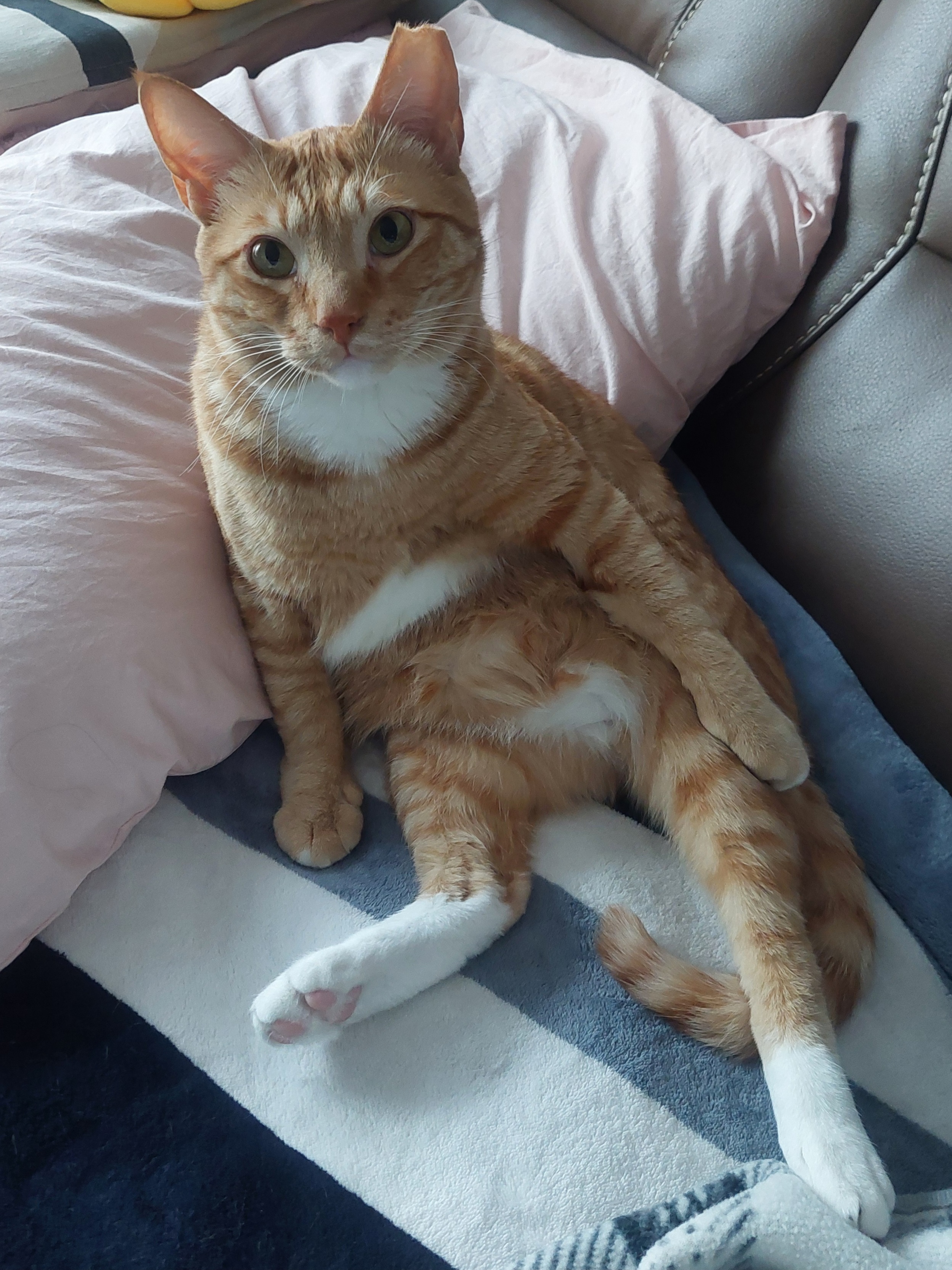 가을이와 맞이하는 세번째 여름