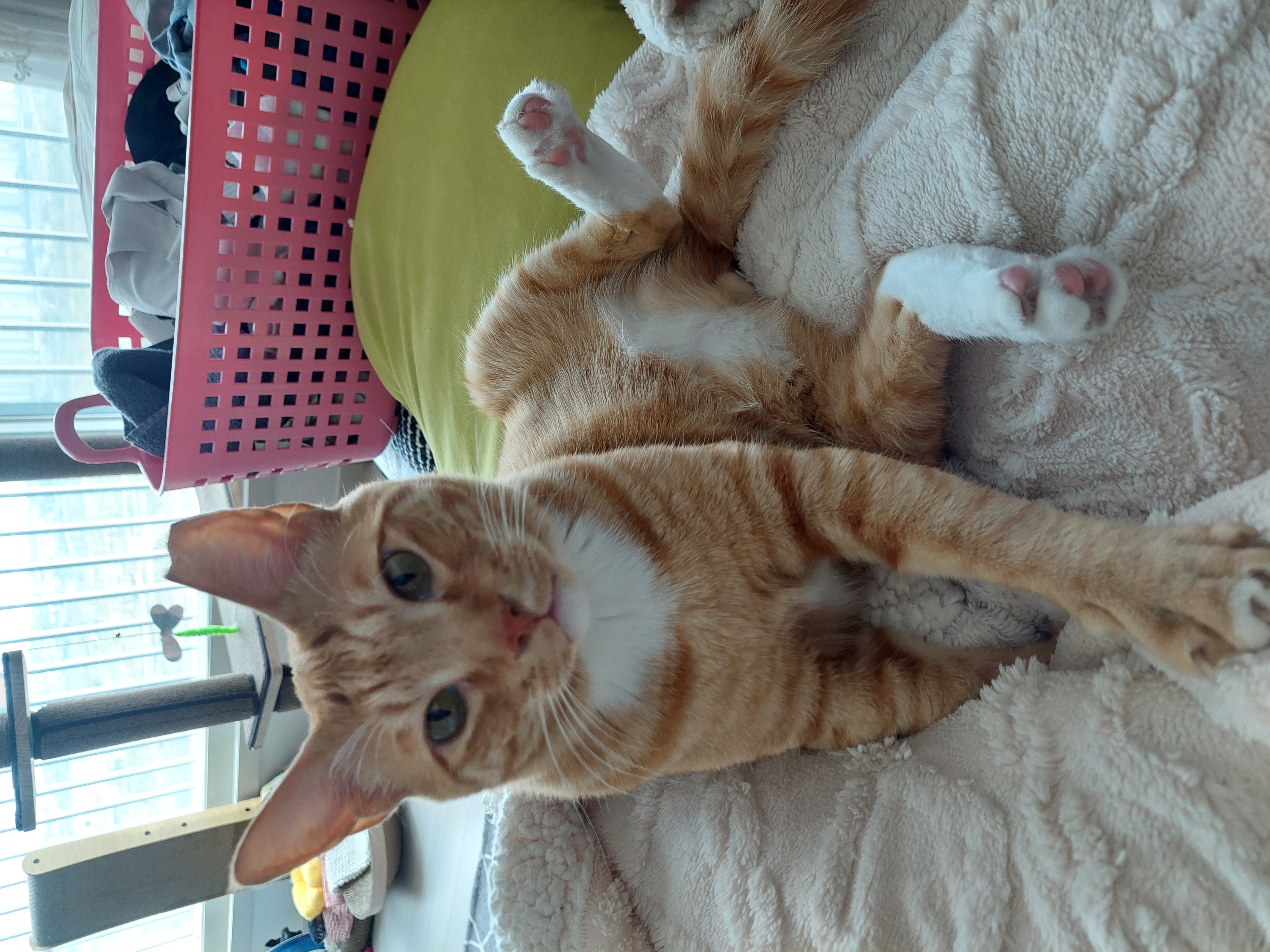 가을이와 맞이하는 세번째 여름