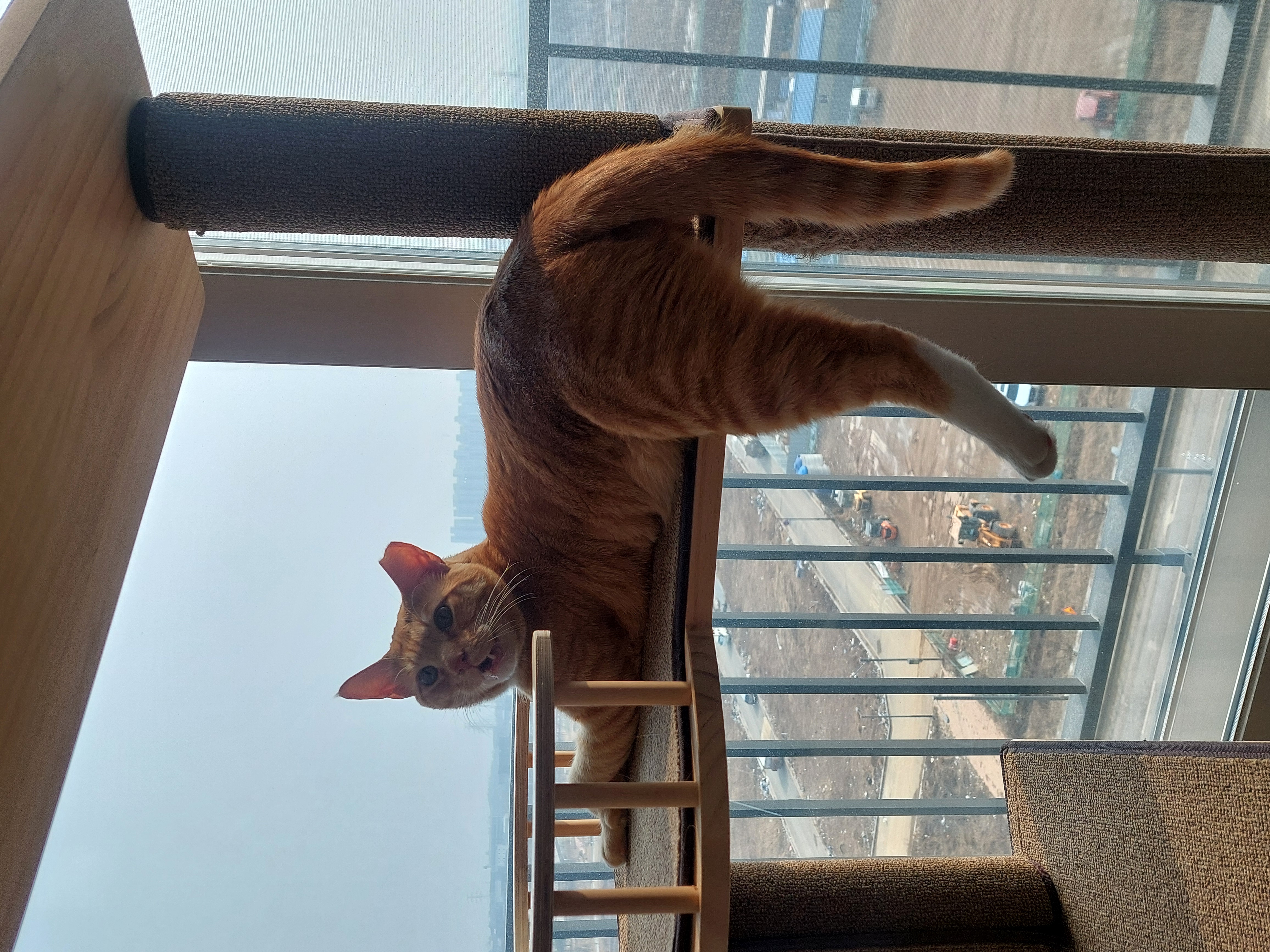 가을이와 맞이하는 세번째 여름