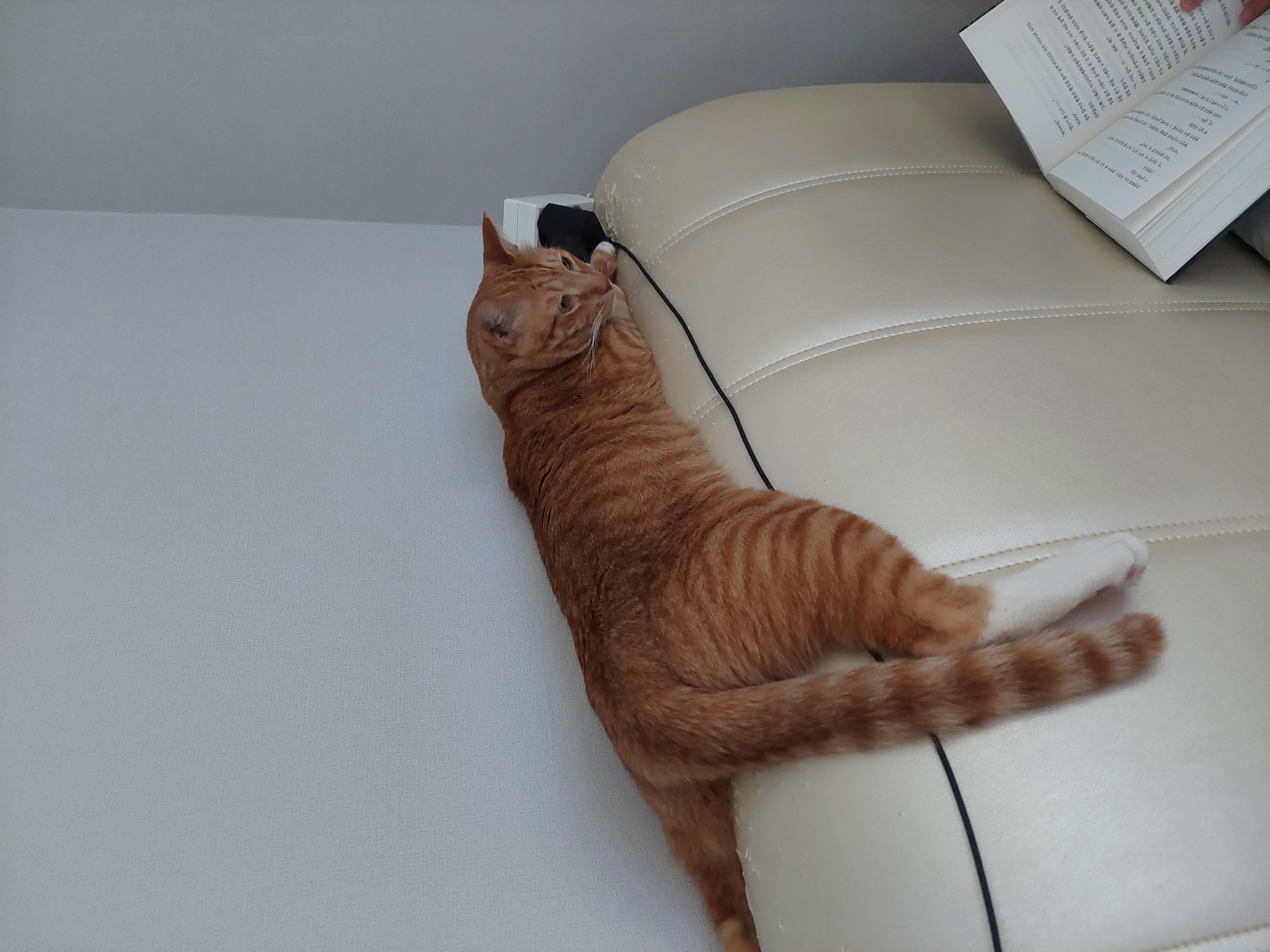 가을이와 맞이하는 세번째 여름