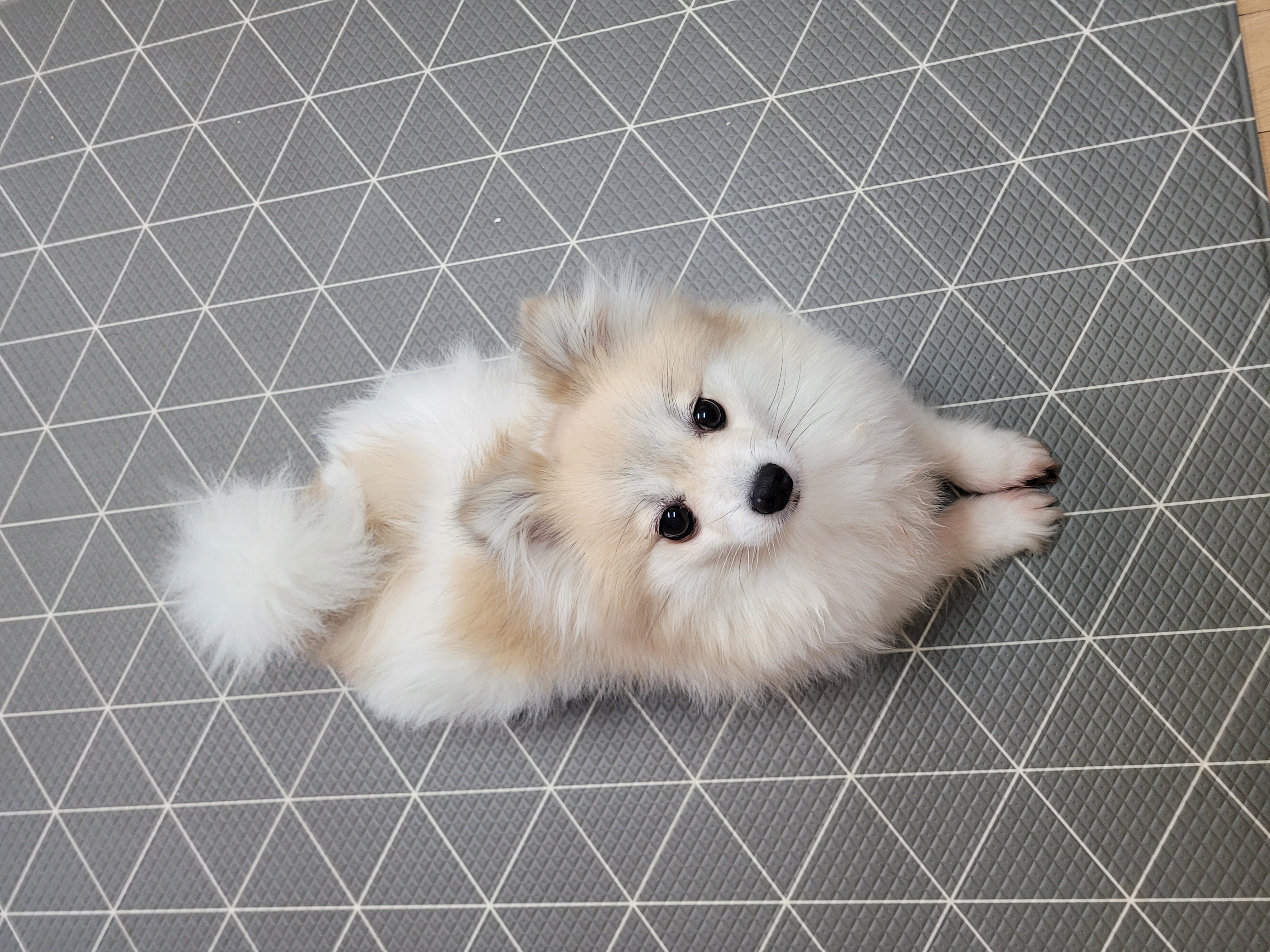 사랑이 1년된날~(뽀둥이)