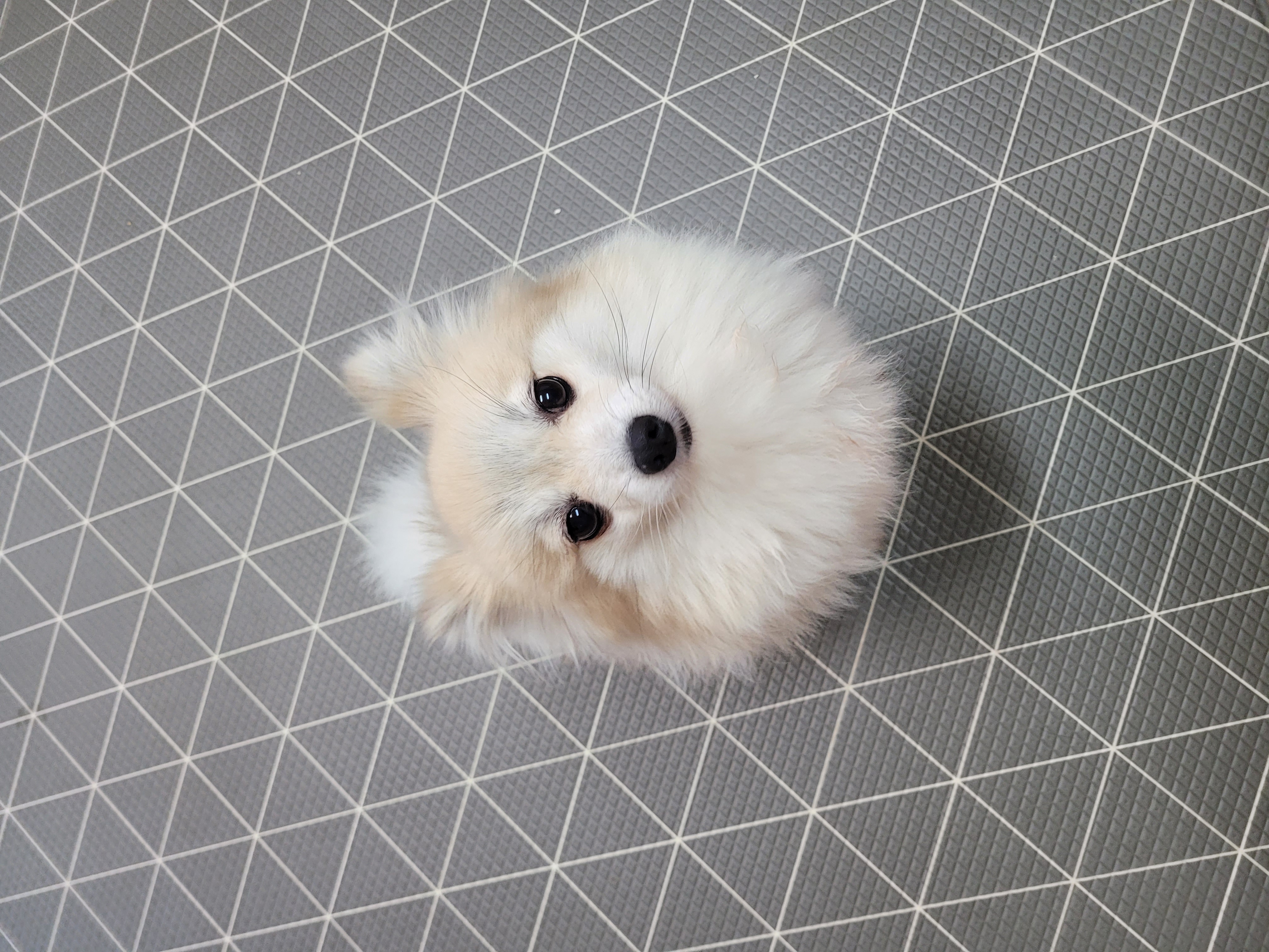 사랑이 1년된날~(뽀둥이)