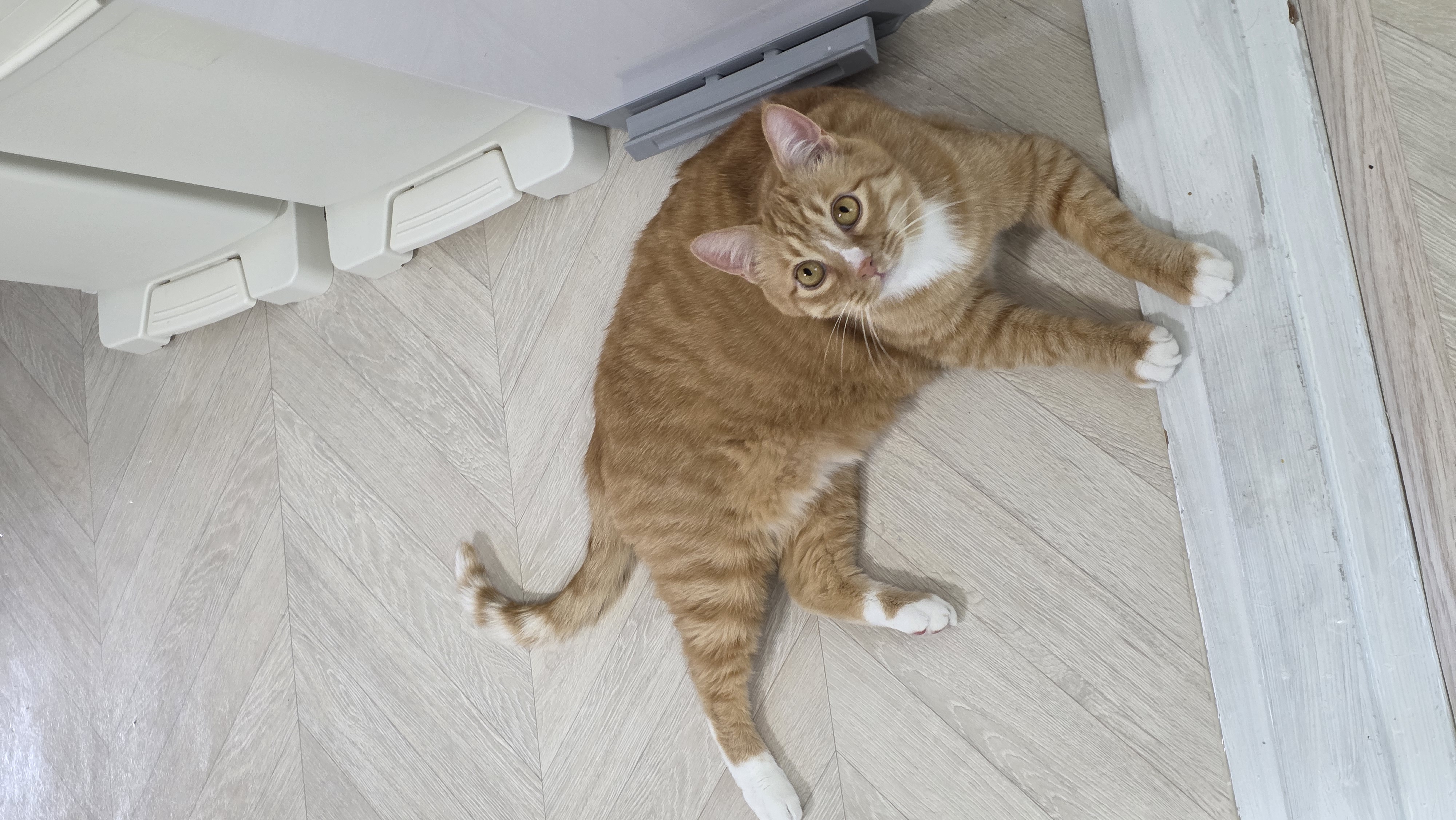 리쿠와의 한달 기록