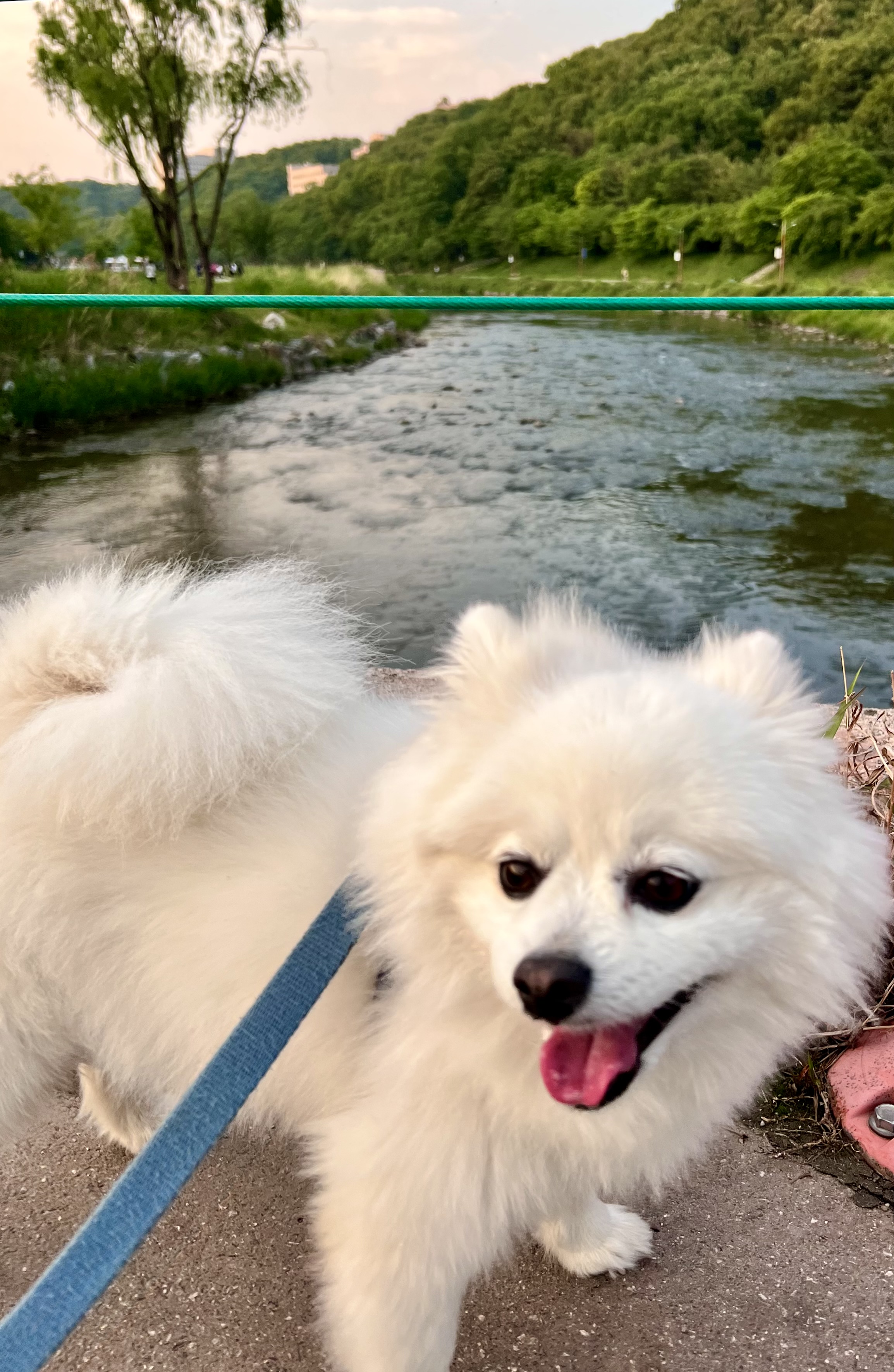 오쥬 입양 3개월차 후기입니다!