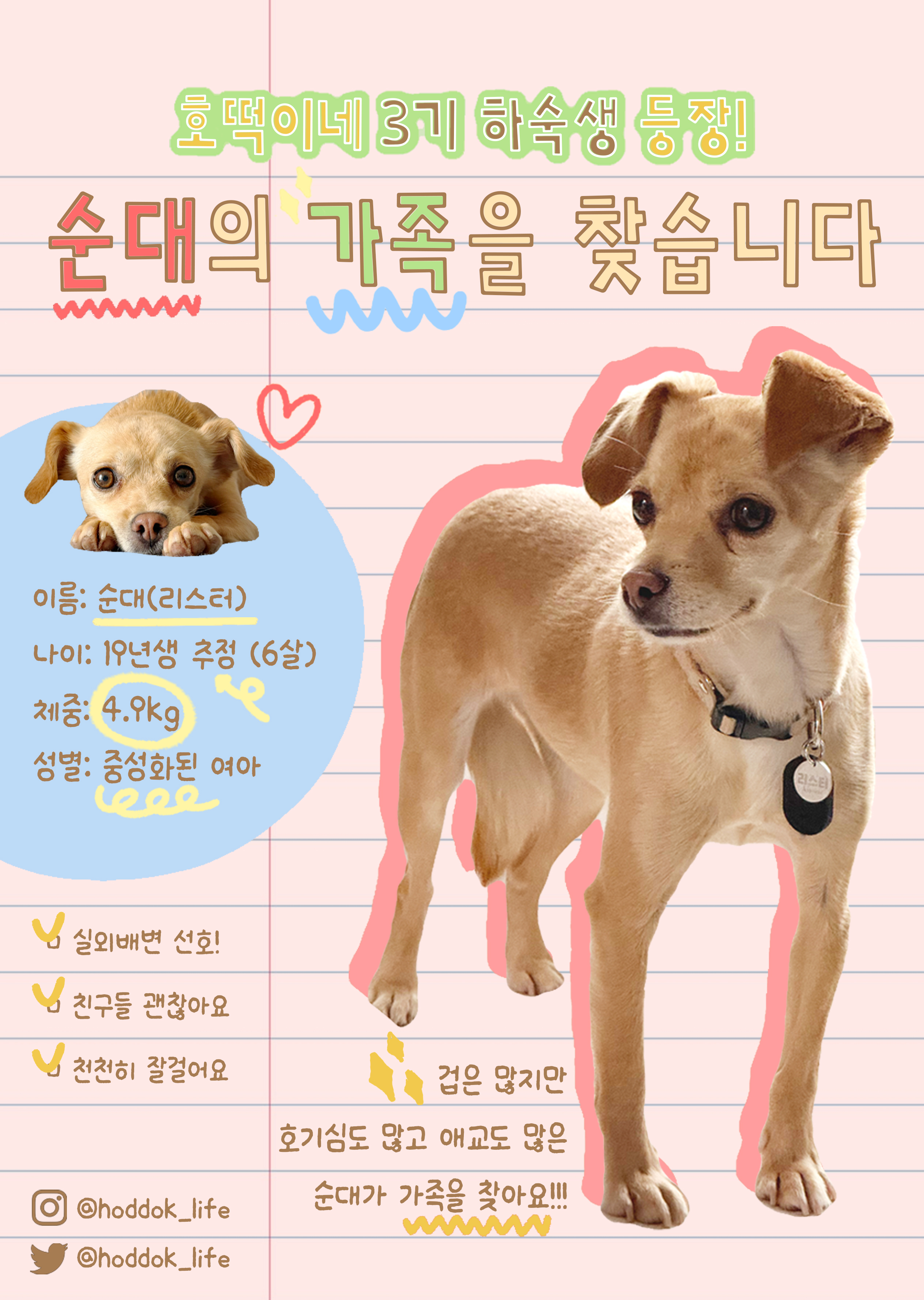 순대(리스터) 임시보호 한달입니다!!!