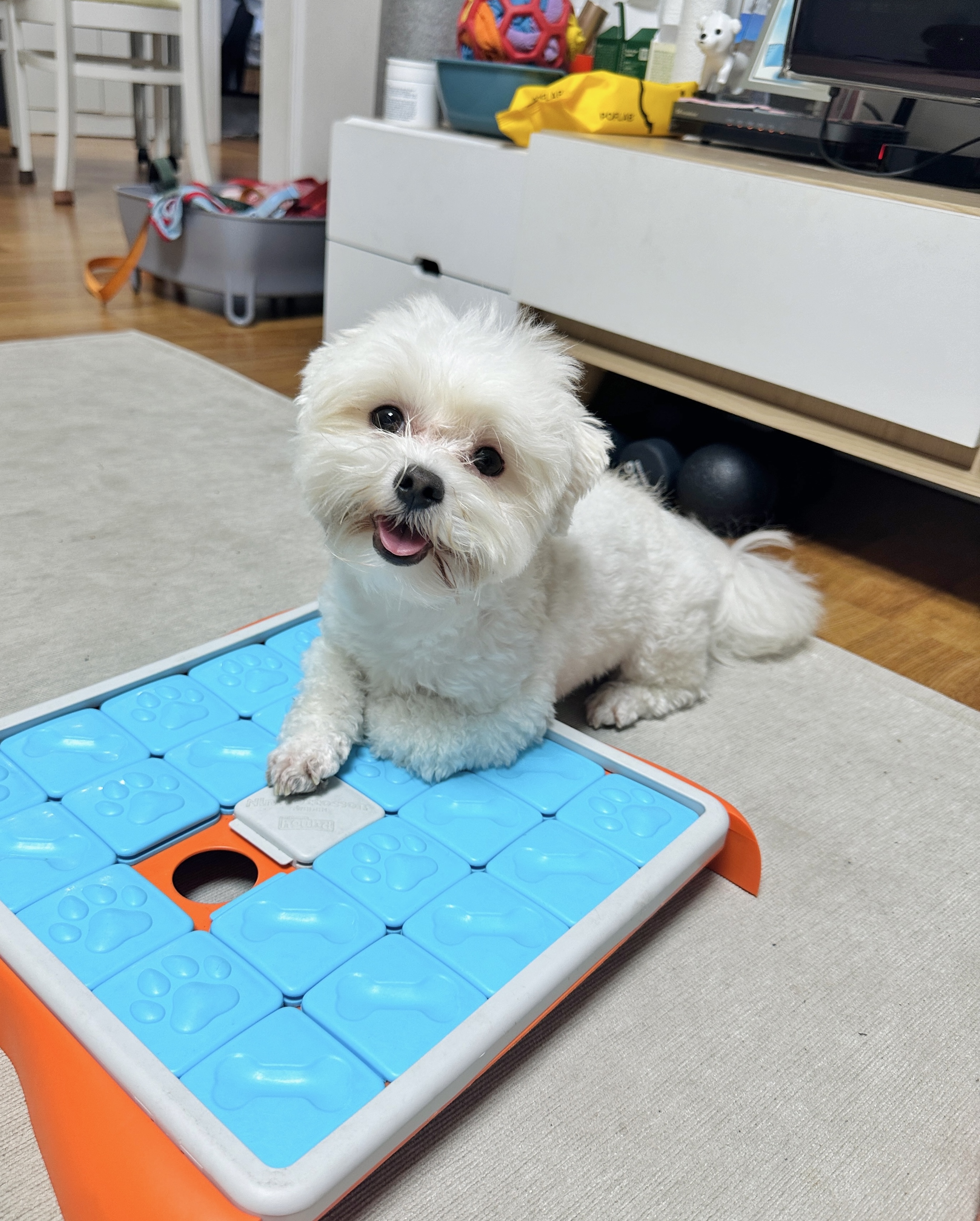베베(말론)와 벌써 2년