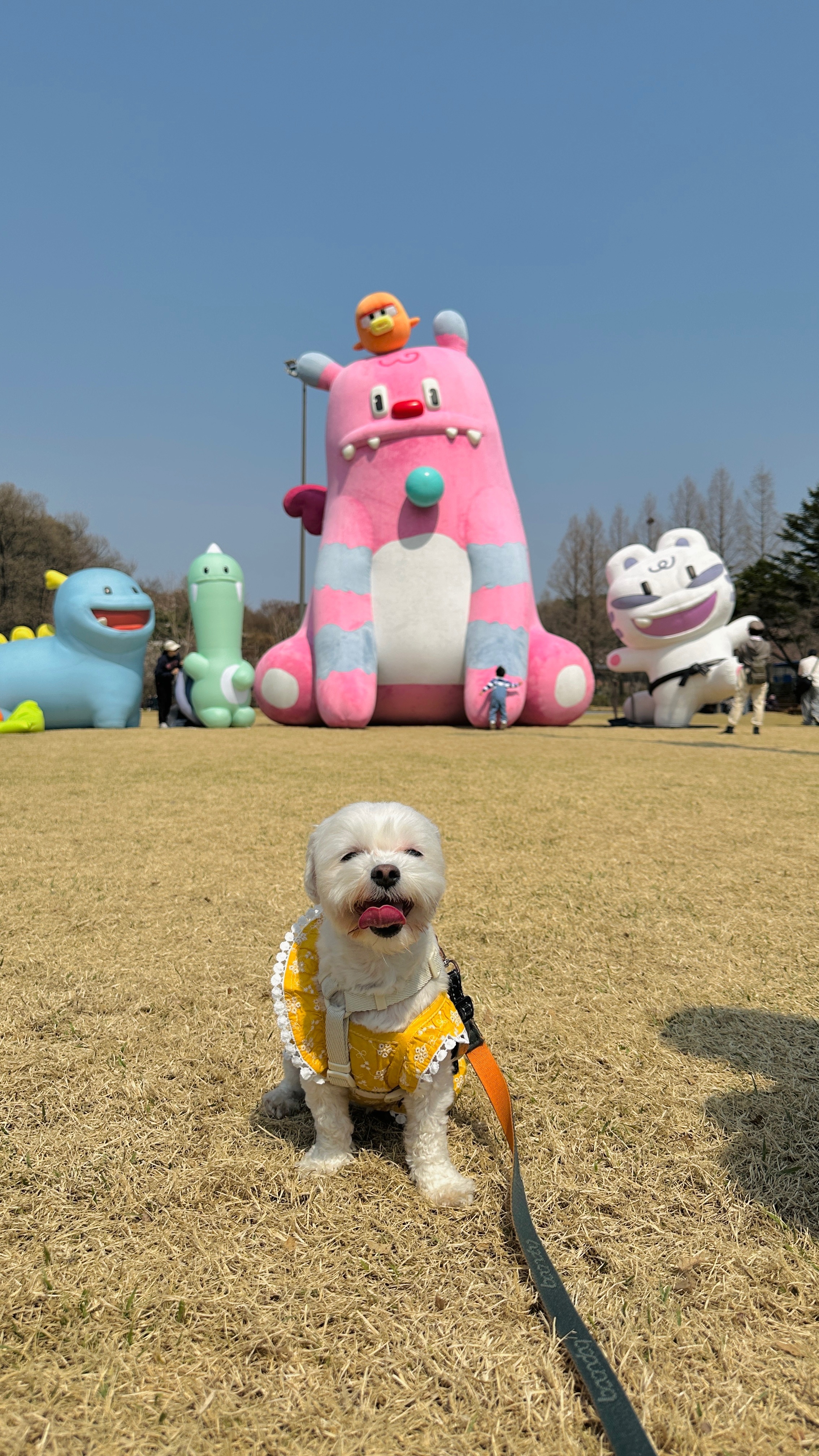 베베(말론)와 벌써 2년