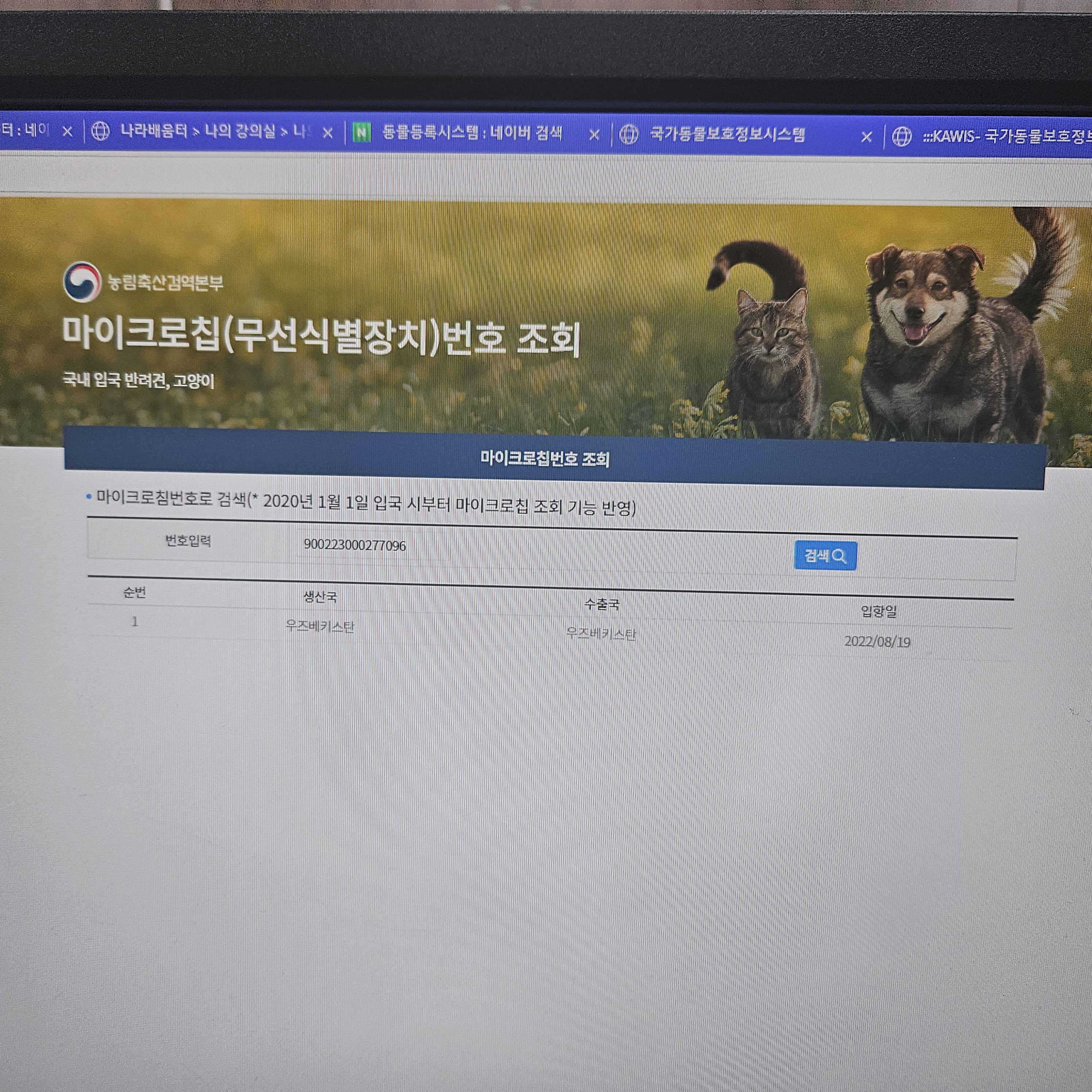 론다와 함께 보낸 일주일(등록완료)