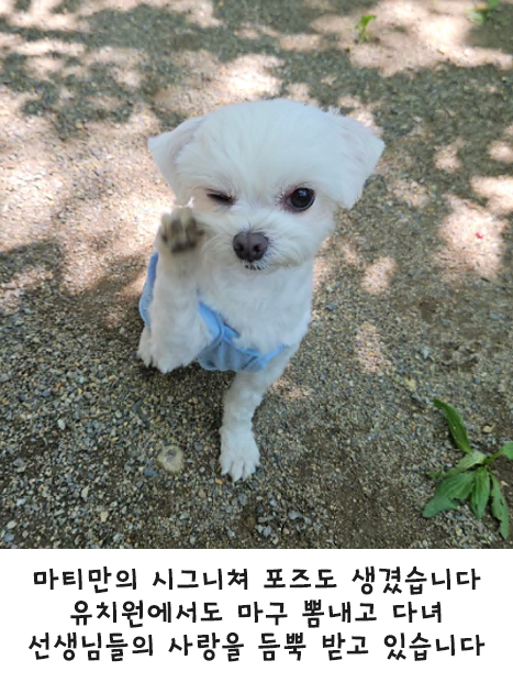 마티 입양 1주년 