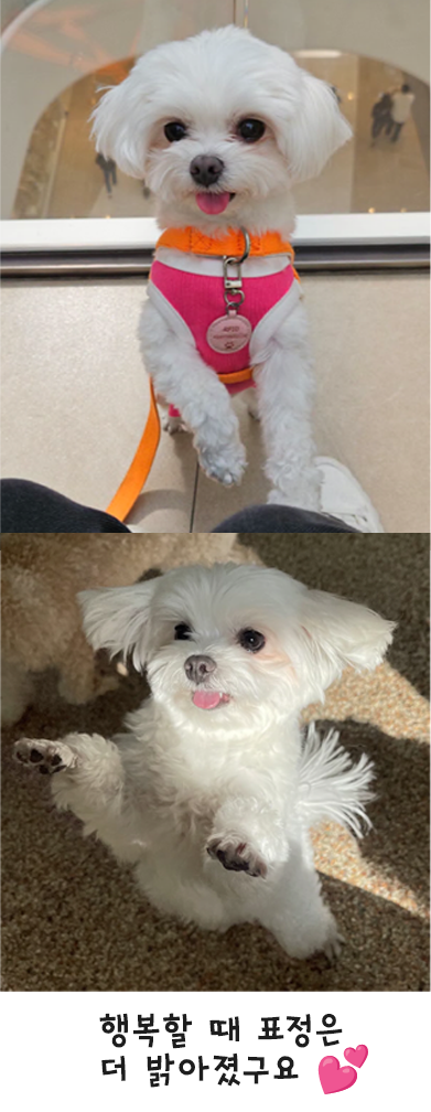마티 입양 1주년 