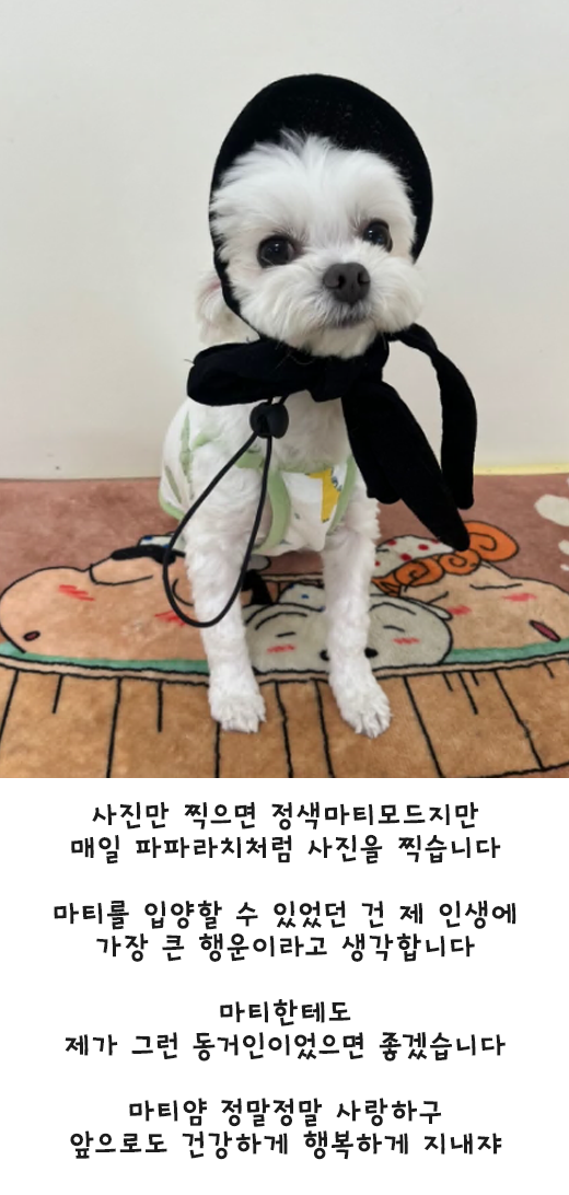 마티 입양 1주년 
