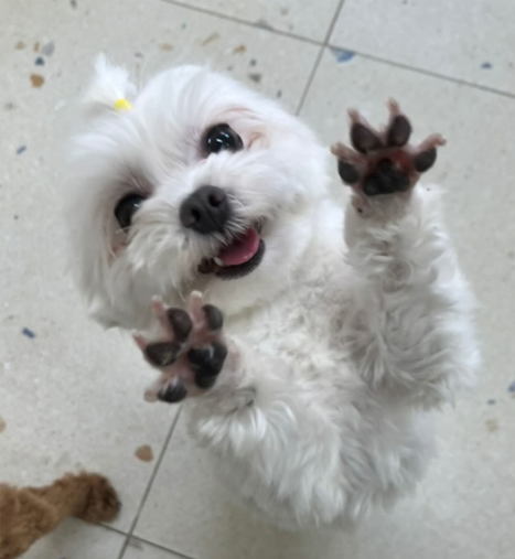 마티 입양 1주년 