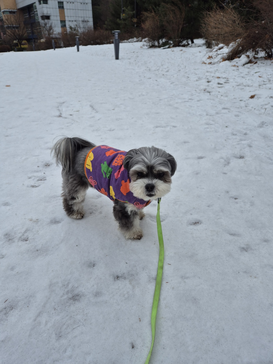 순심이 현재 모습입니다 ㅋ