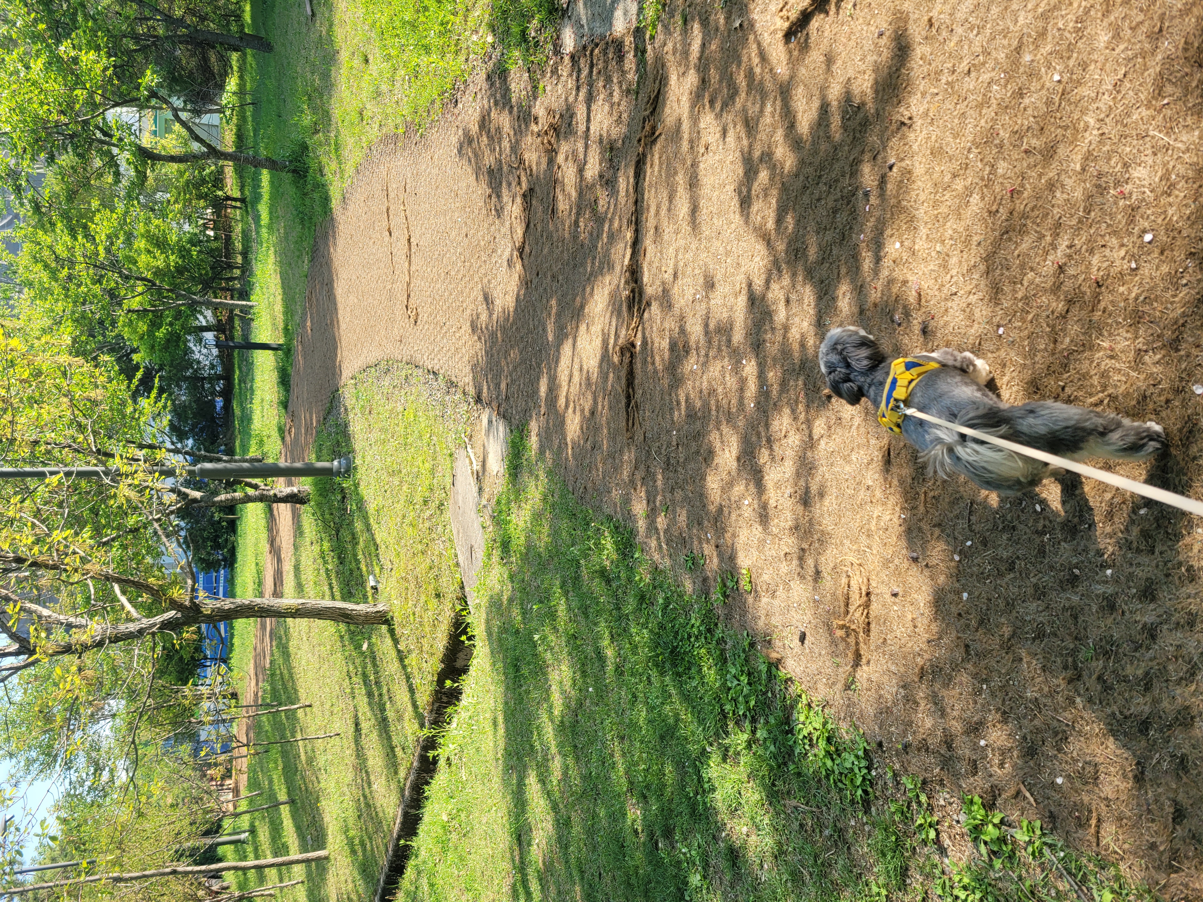 순심이 현재 모습입니다 ㅋ