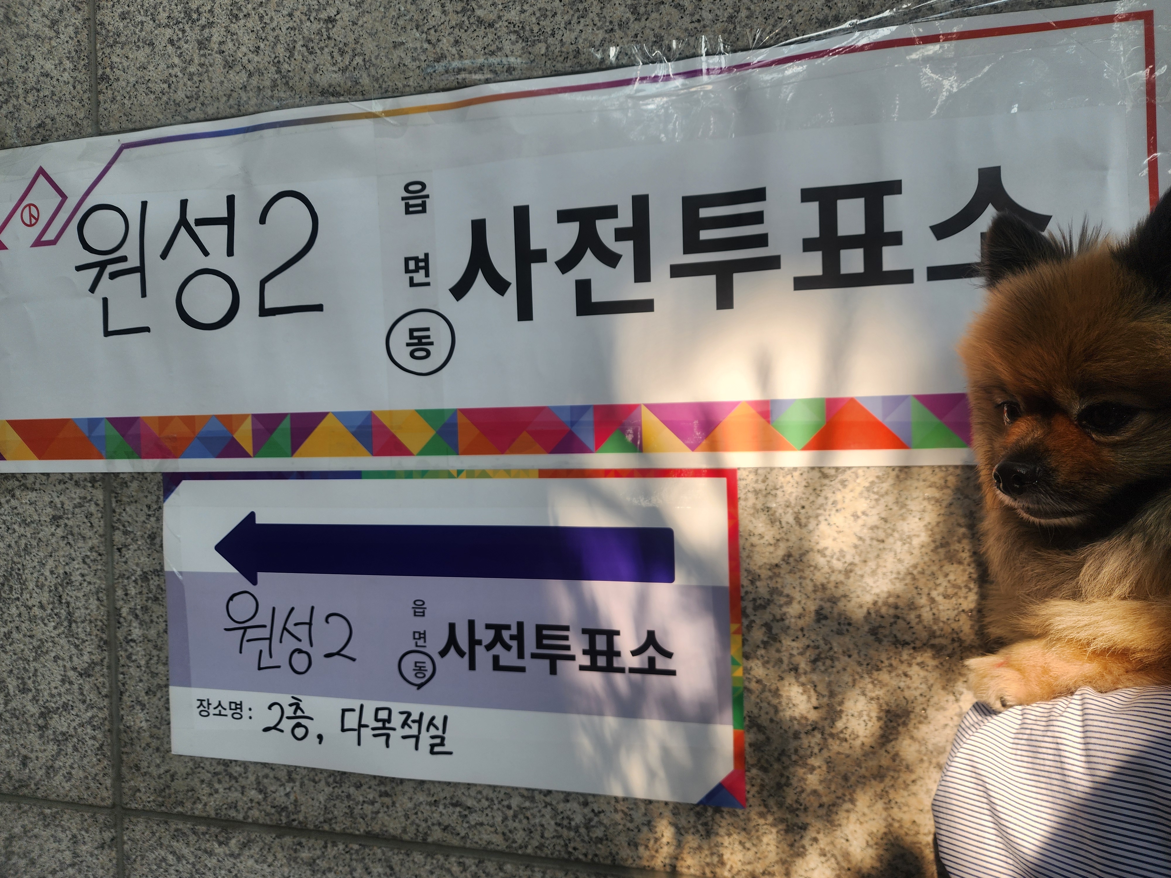 러비(워일) 입양 4주년
