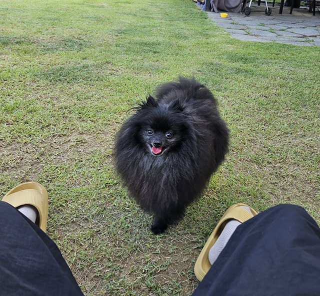 까곰이 일년!