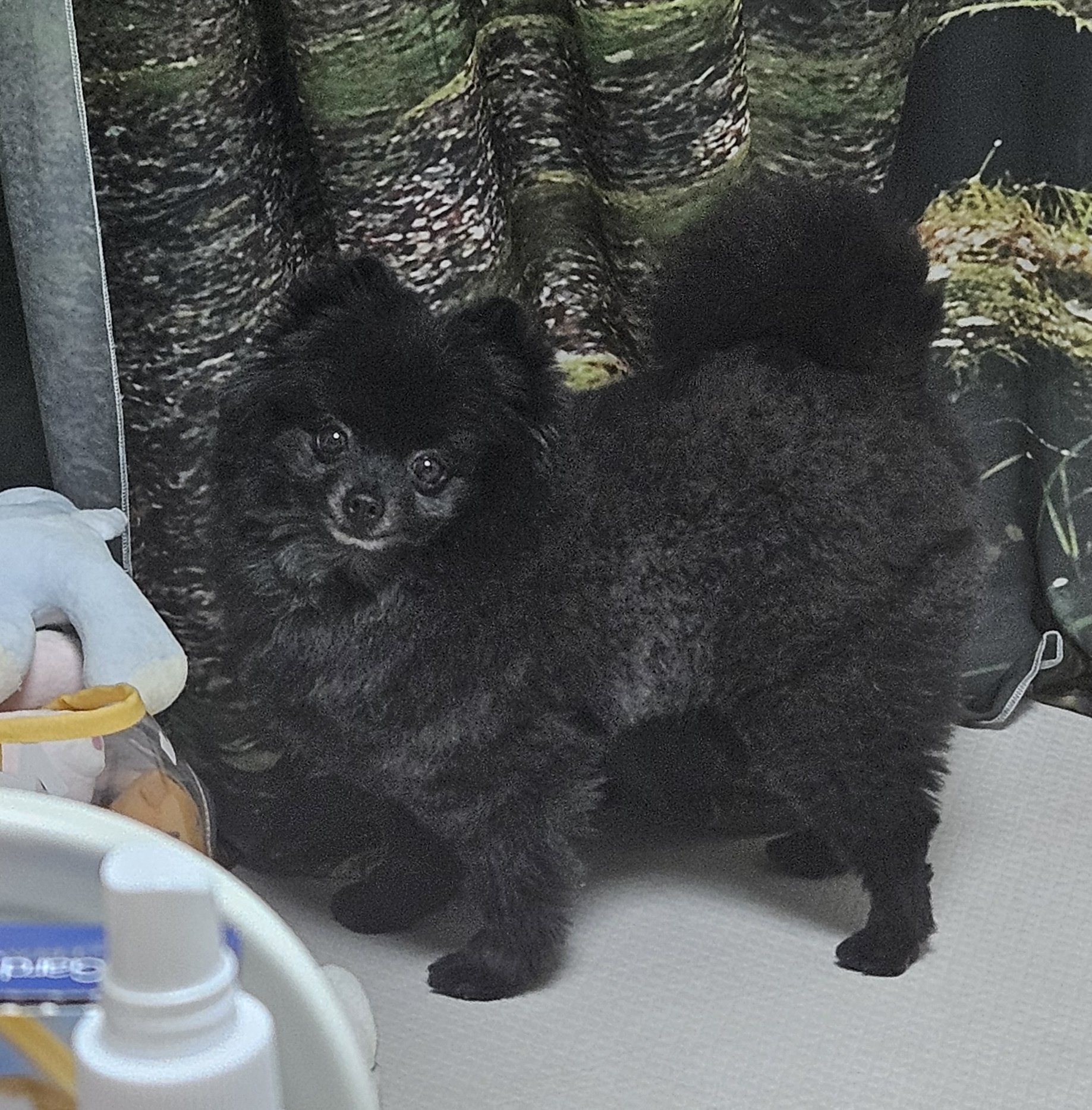 까곰이 일년!