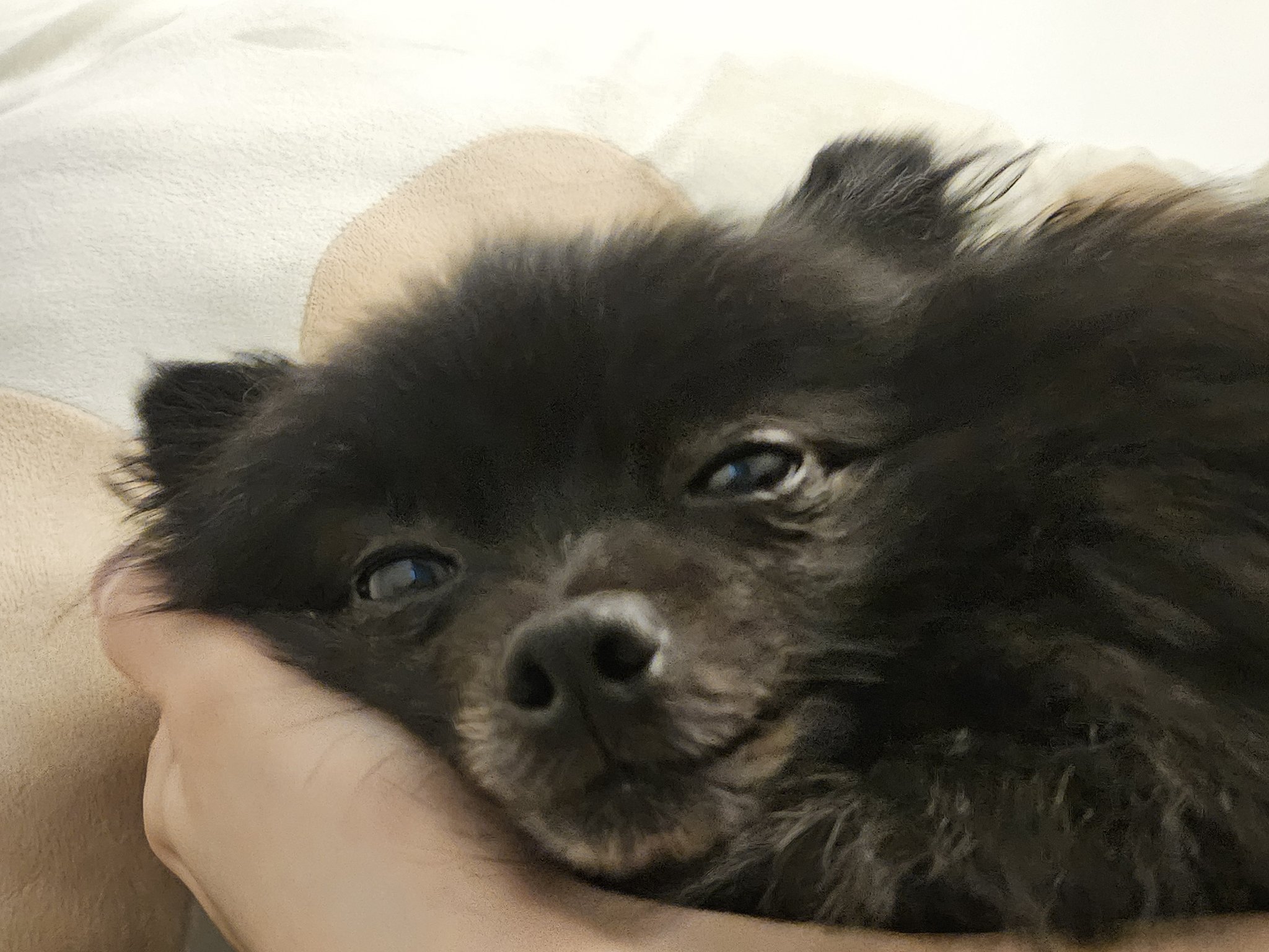 까곰이 일년!