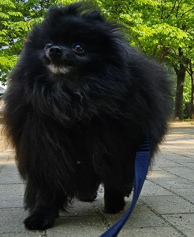 까곰이 일년!