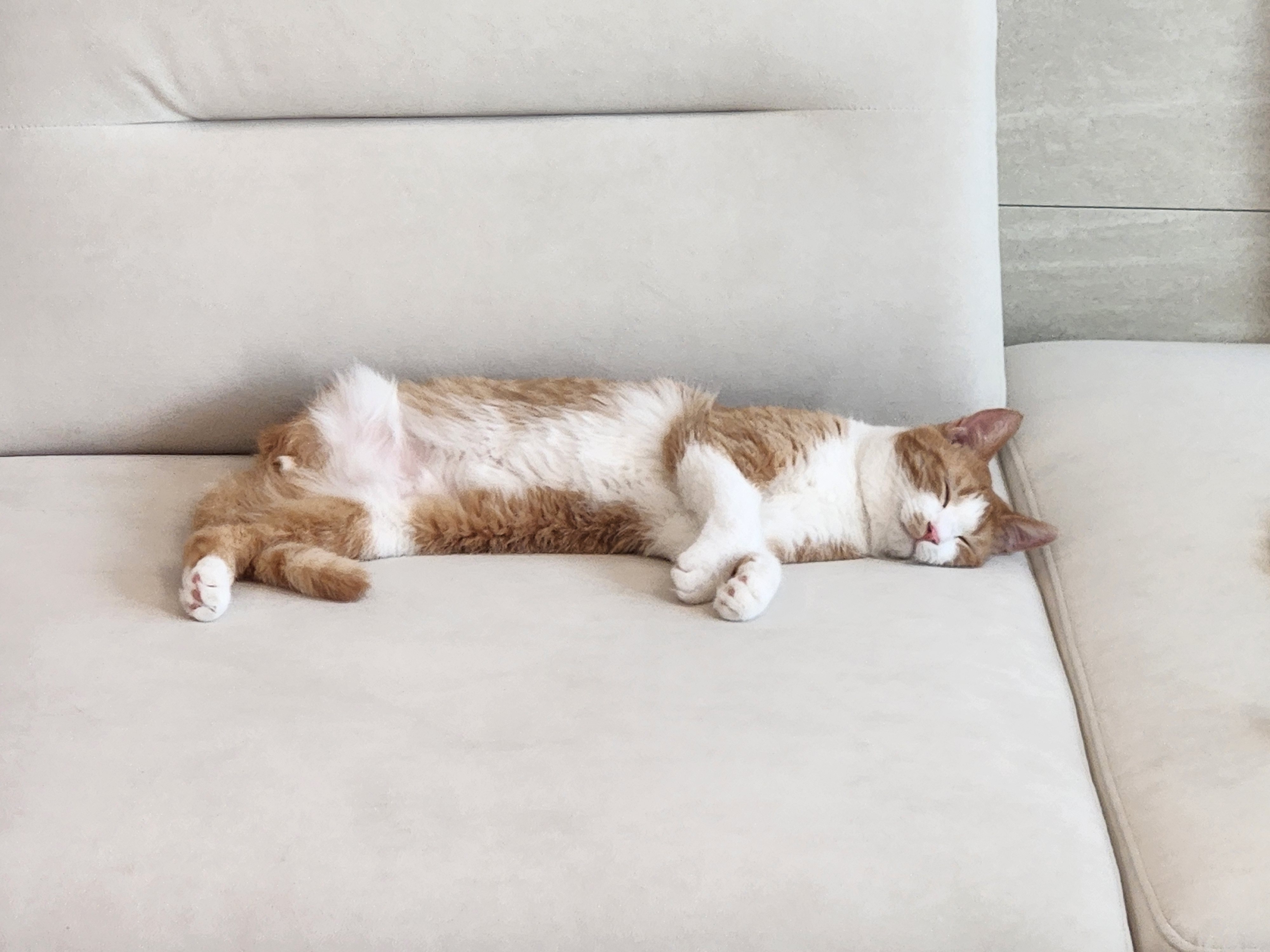 오들이 한달후기