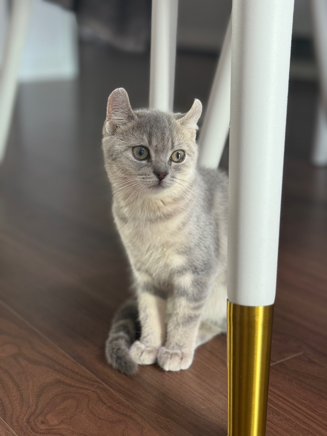 리호(유가) 한 달 이야기🤎