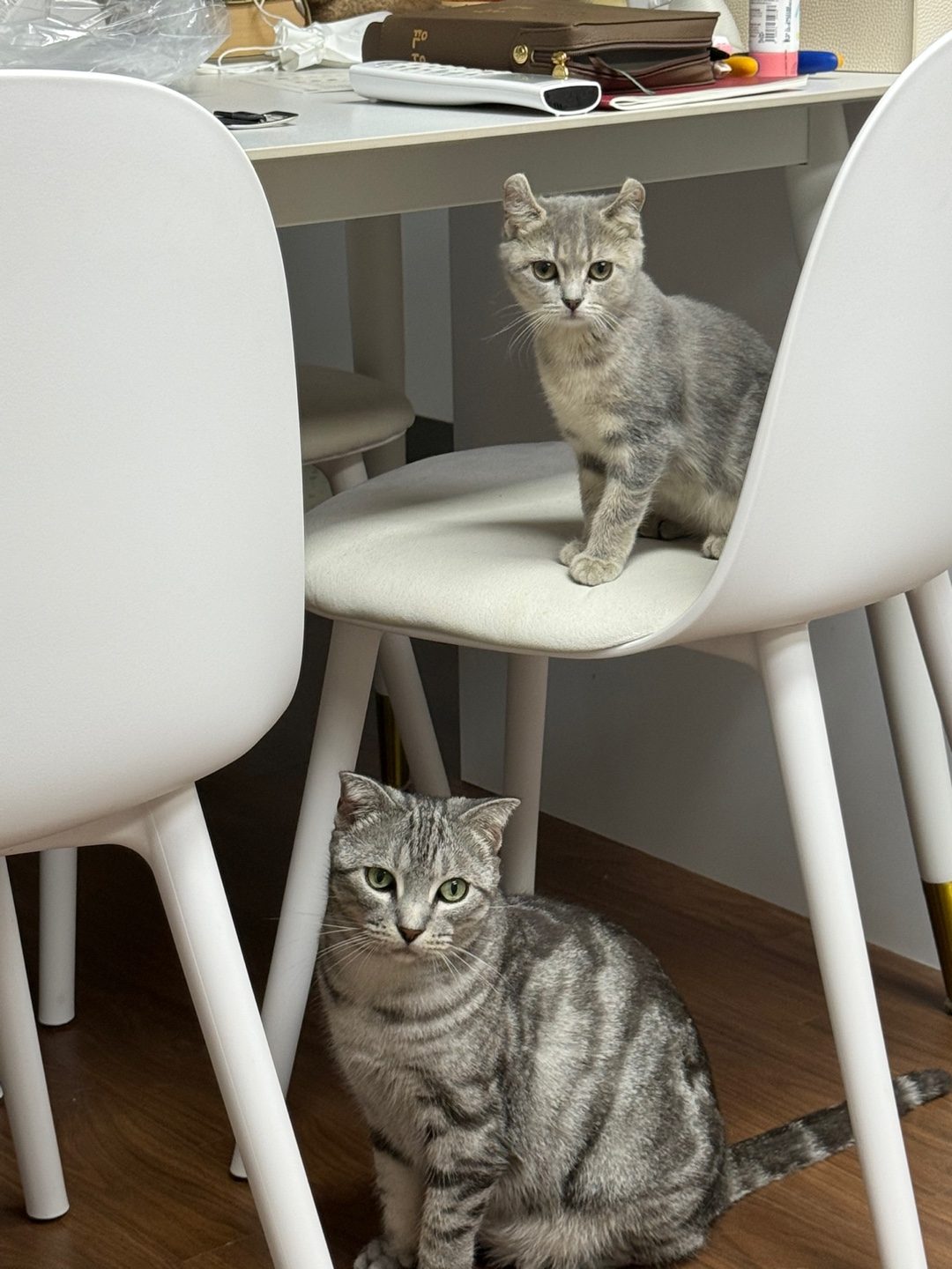 리호(유가) 한 달 이야기🤎