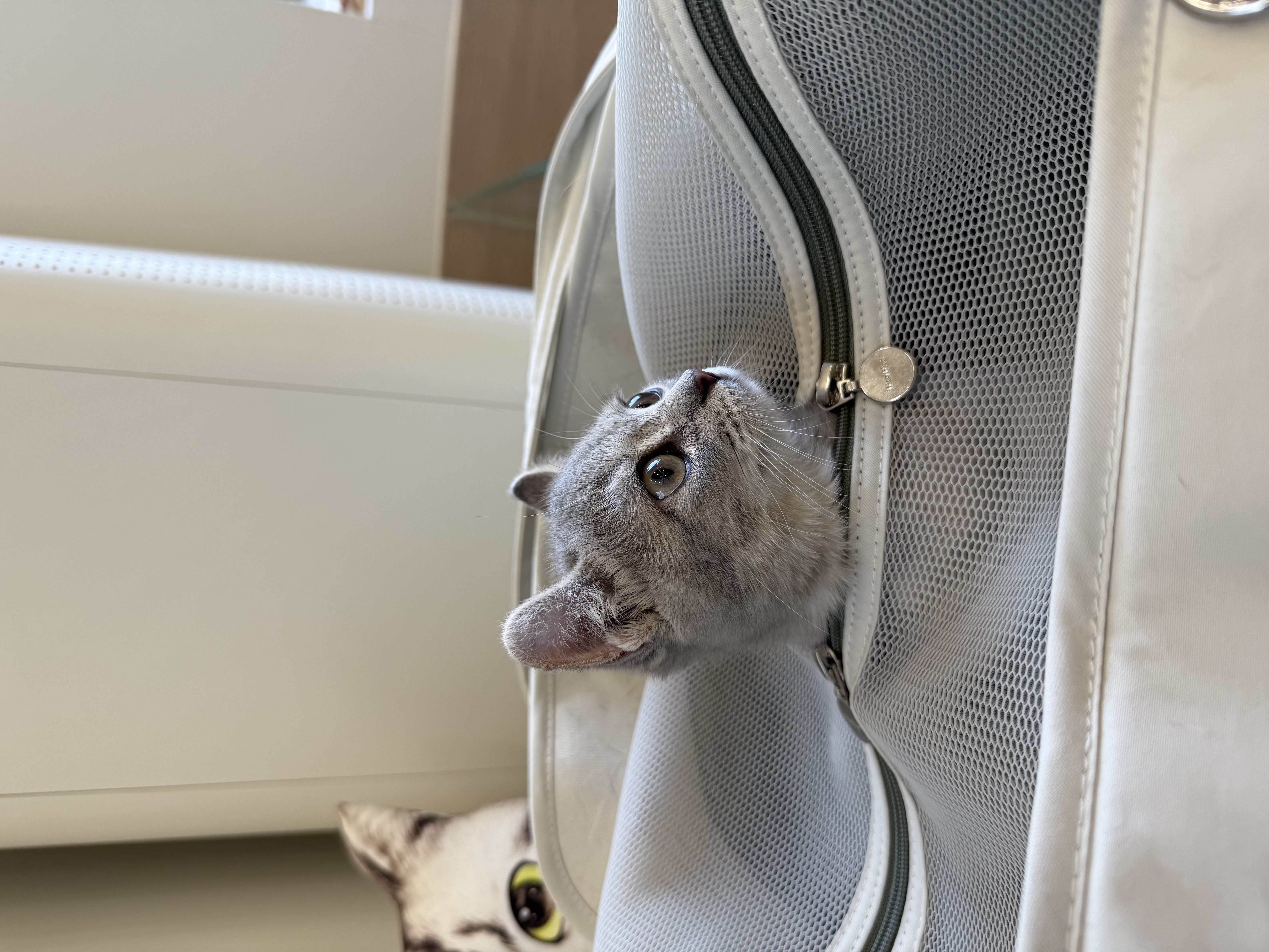 리호(유가) 한 달 이야기🤎