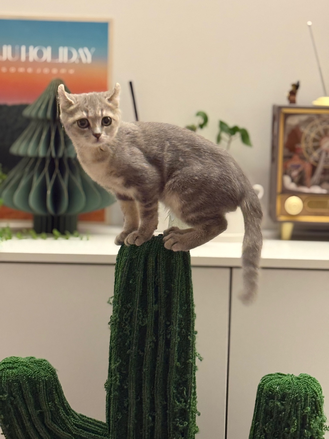 리호(유가) 한 달 이야기🤎