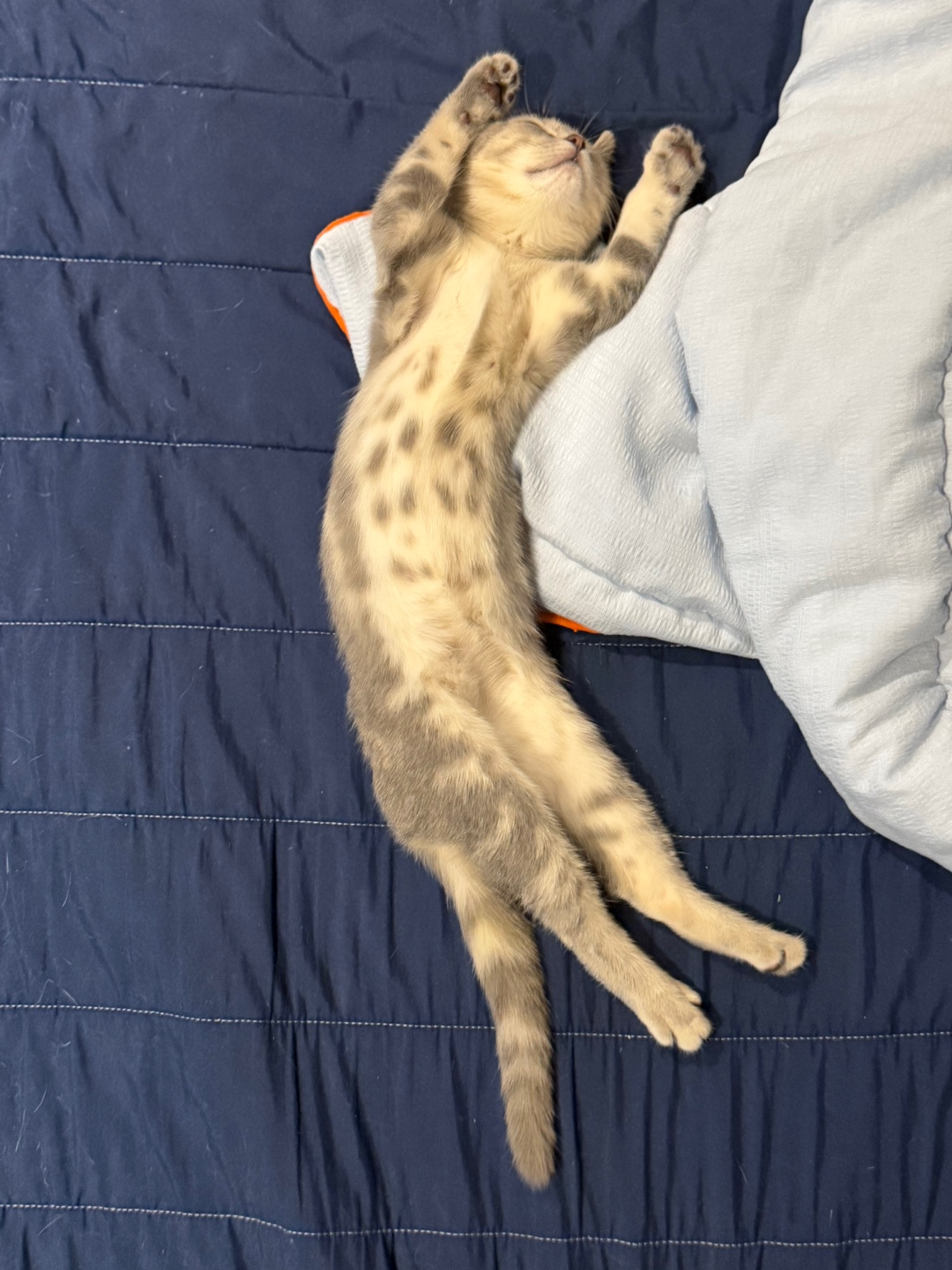 리호(유가) 한 달 이야기🤎