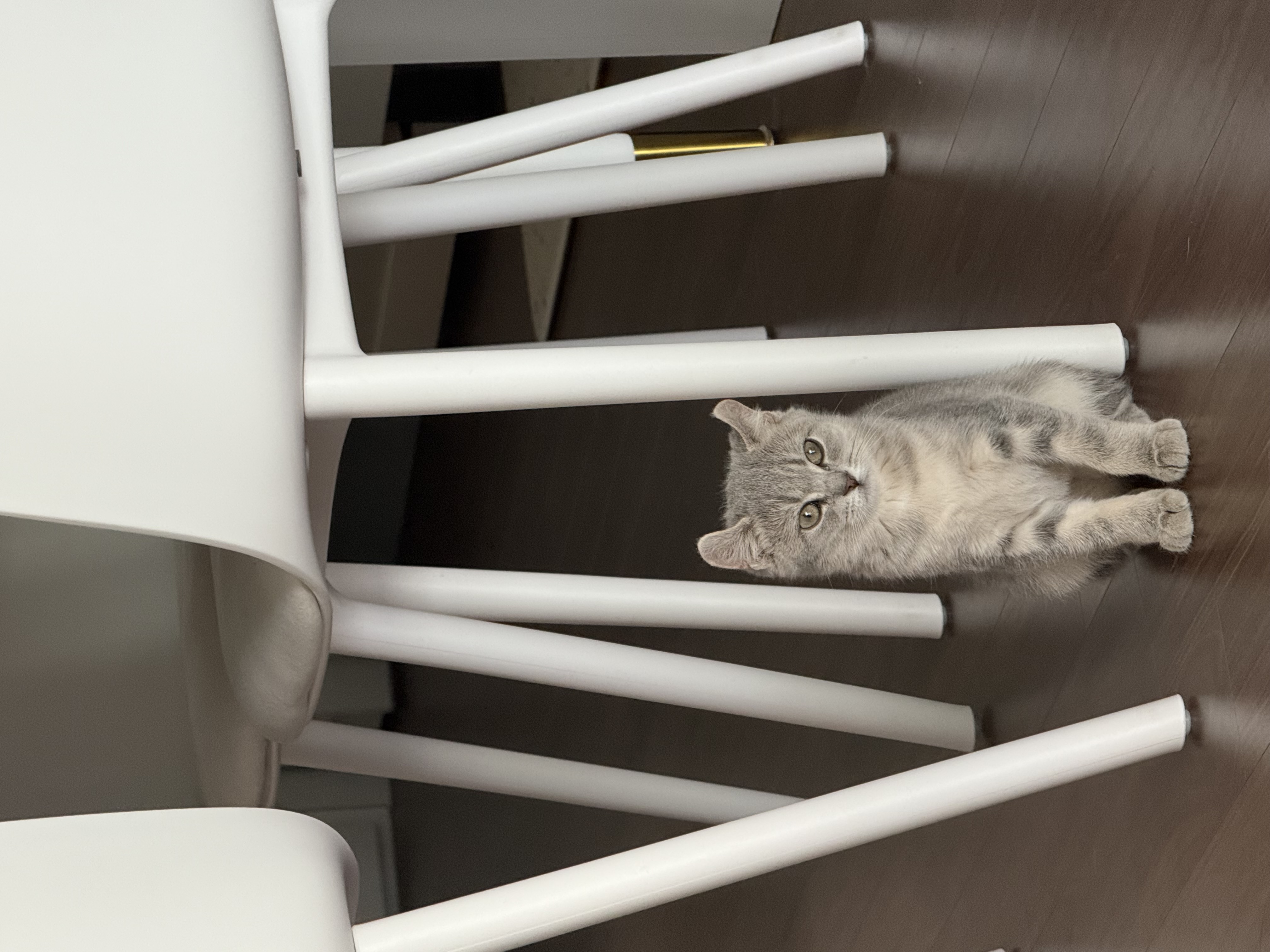 리호(유가) 한 달 이야기🤎