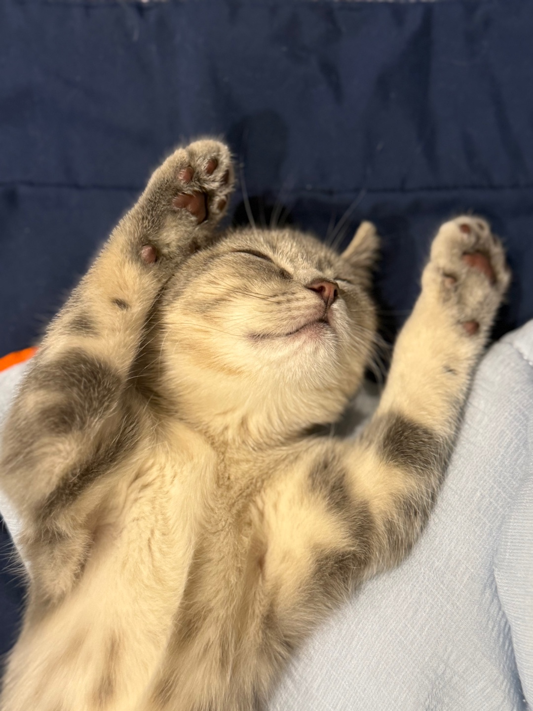 리호(유가) 한 달 이야기🤎