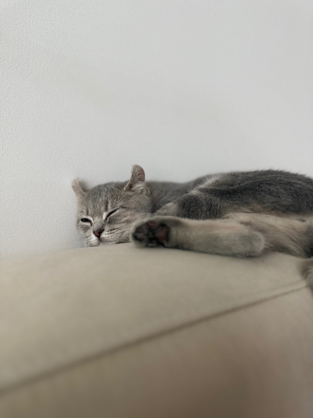 리호(유가) 한 달 이야기🤎