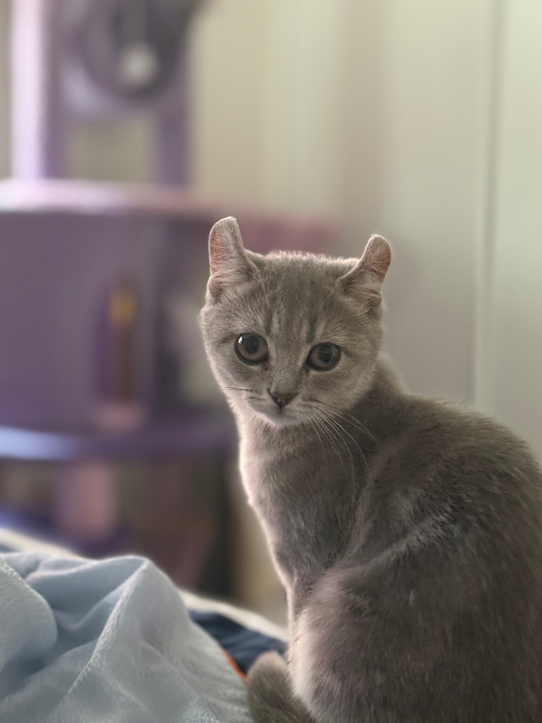 리호(유가) 한 달 이야기🤎