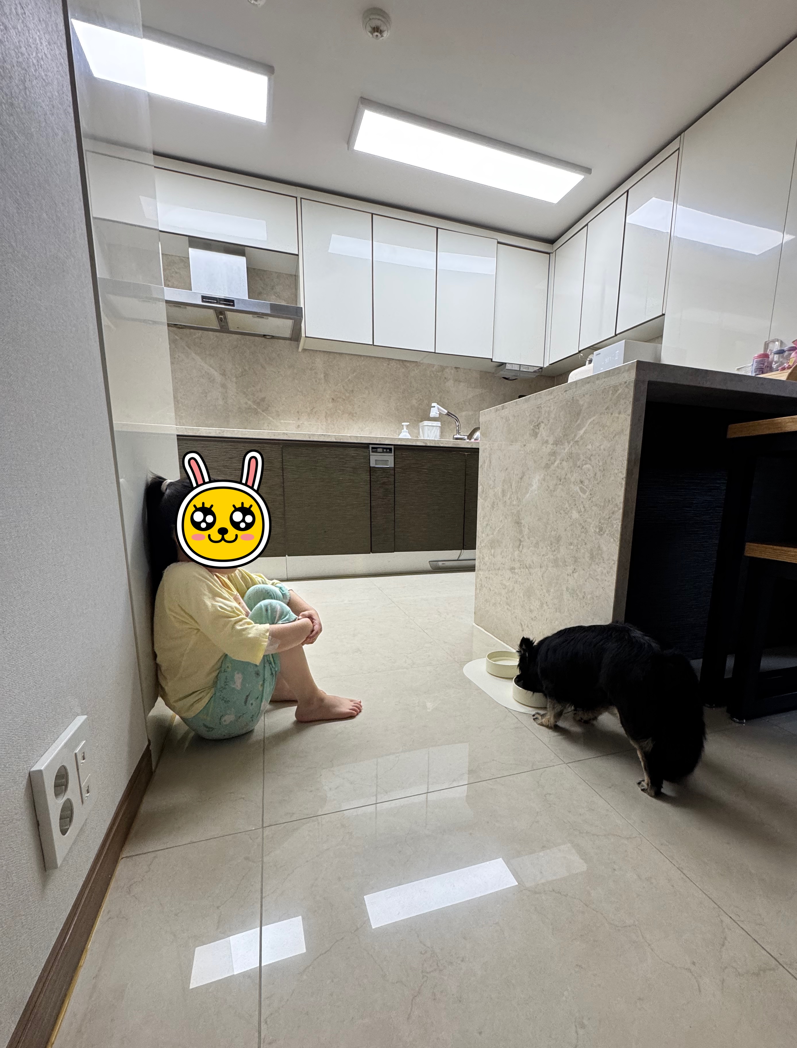 랩몬 임보 일주일 소식^^