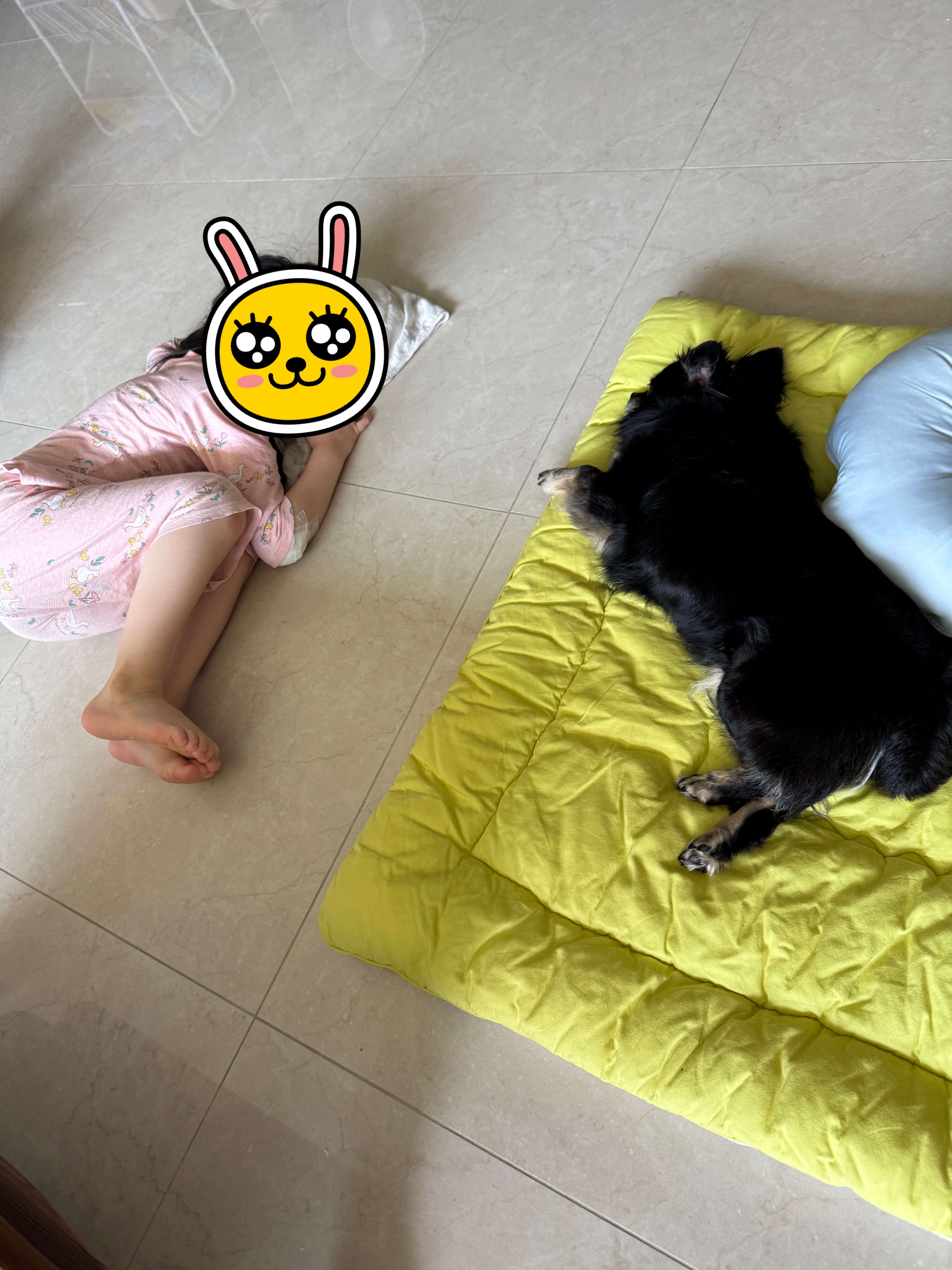 랩몬 임보 일주일 소식^^