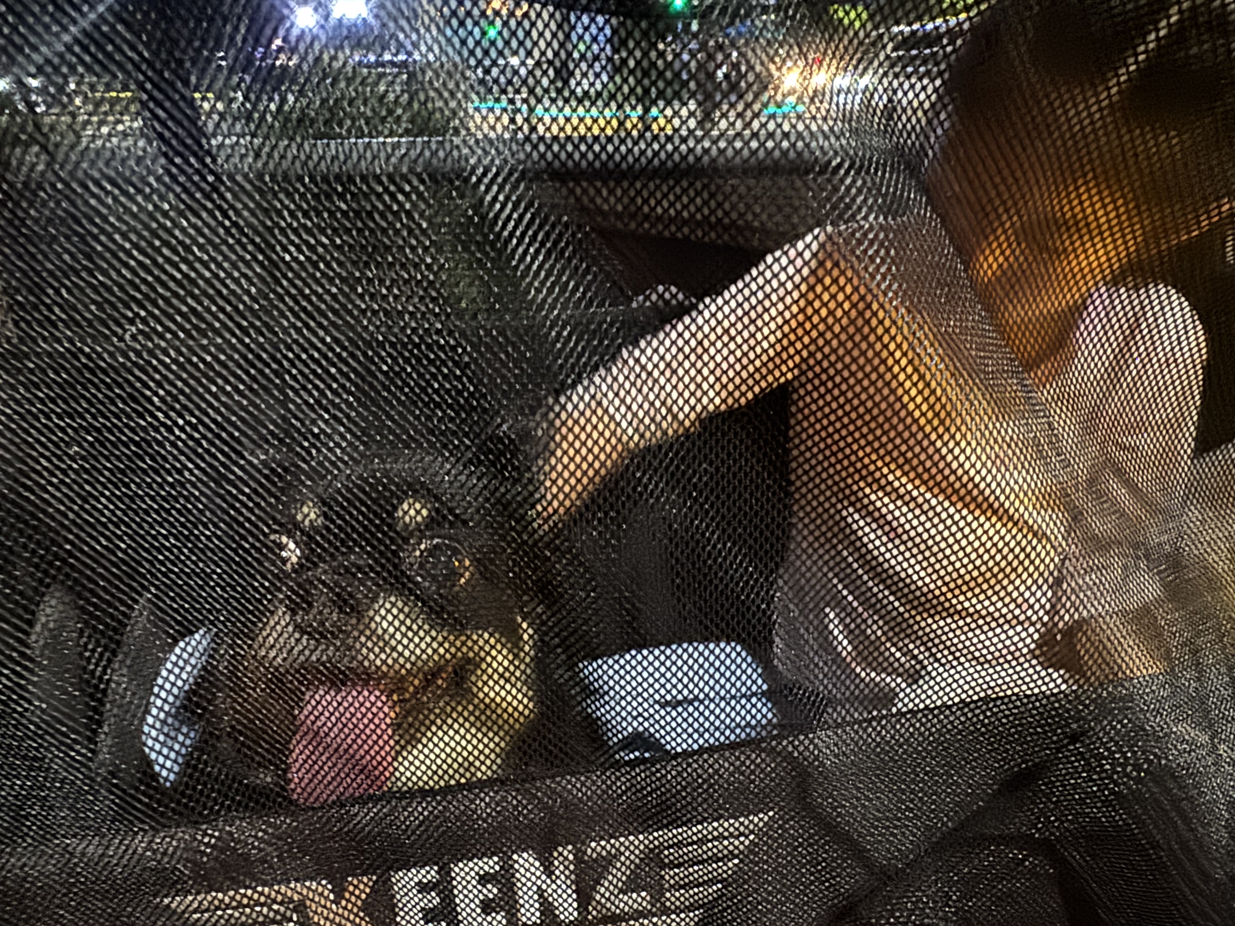 랩몬 임보 일주일 소식^^