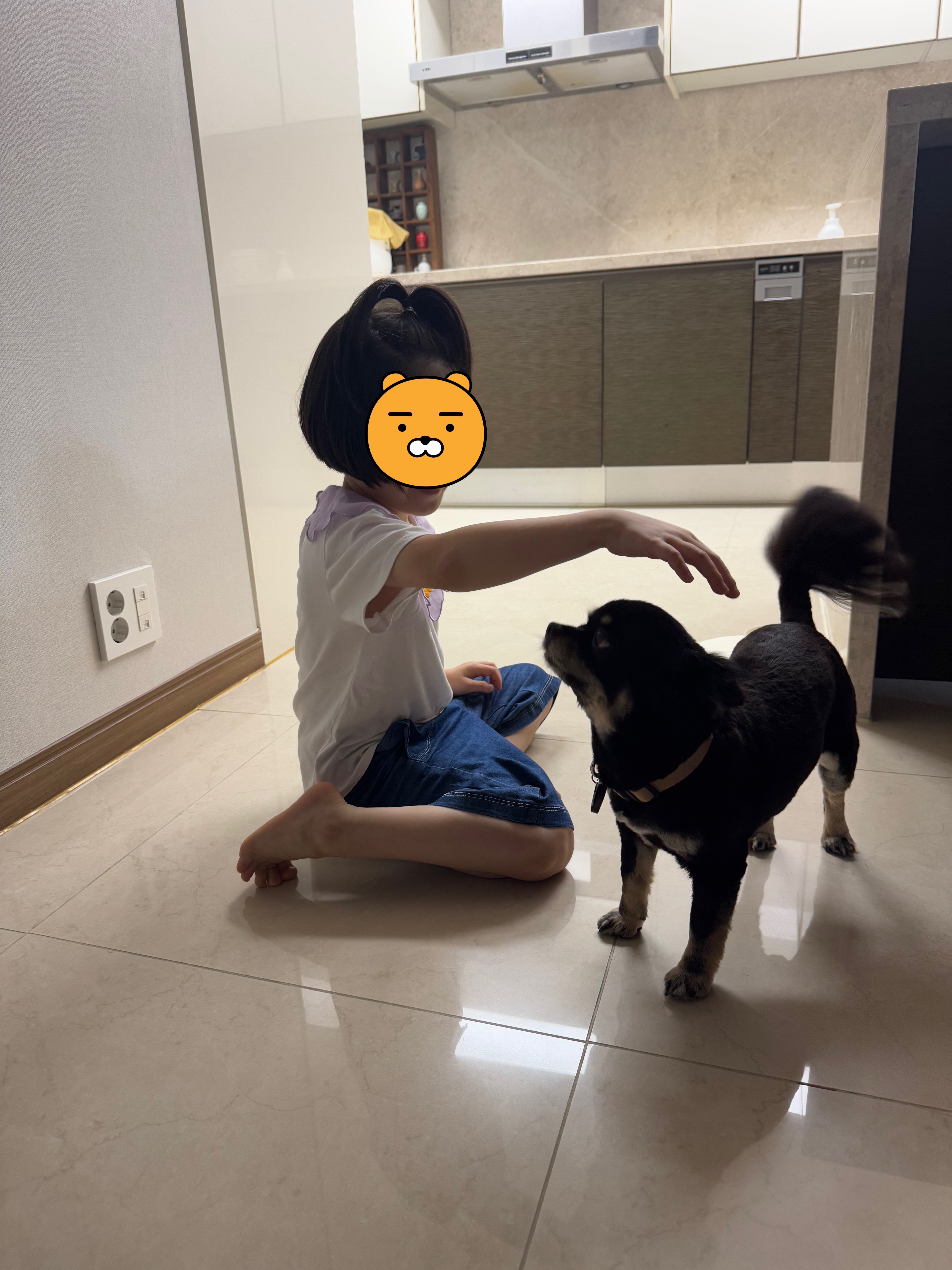 랩몬이는 미모 폭팔 중 ♡(임시보호 2주차)