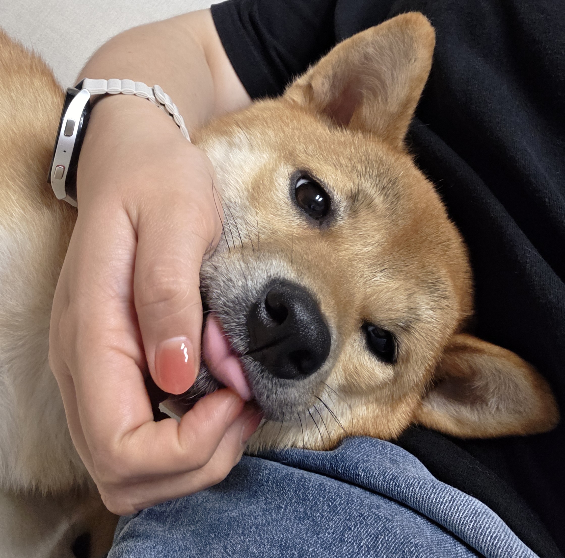 순덕이(쫄희)와 가족이 된지 1년이 되었어요!:D