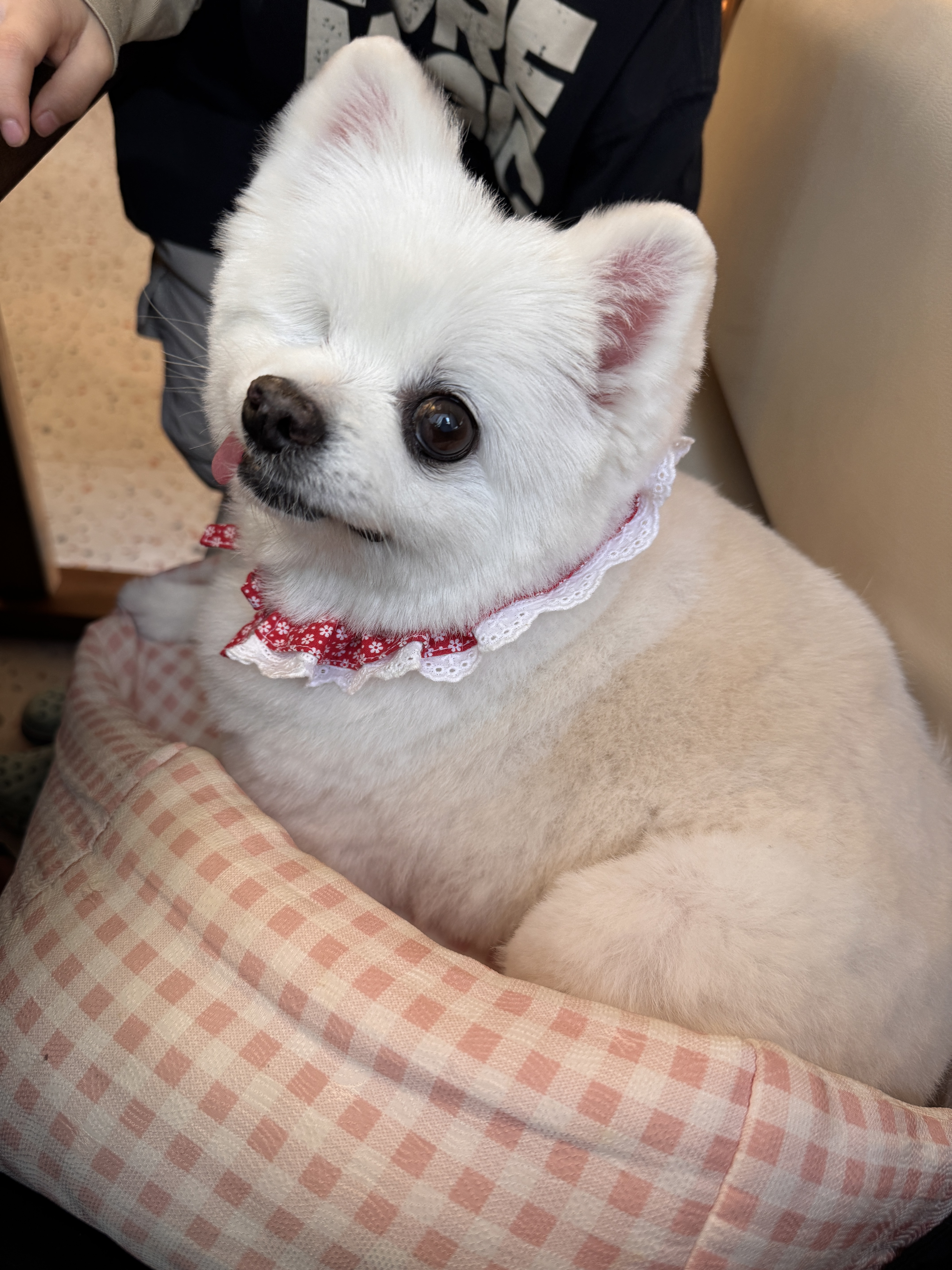 제가 세상에서 제일 사랑하는 우리 그림이 4번째 생일이 지났어요 