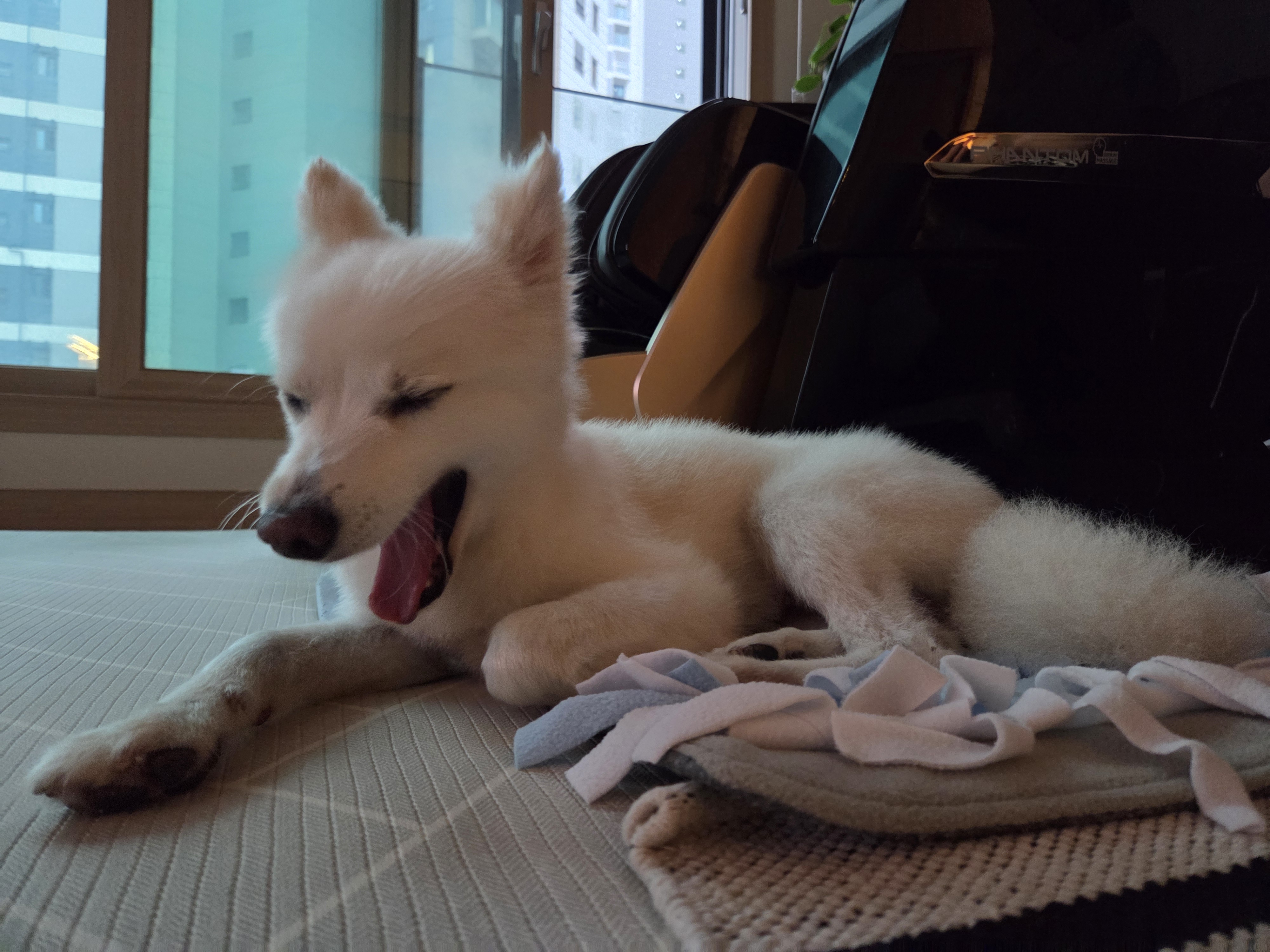 사랑둥이 다람이는 적응 완료!