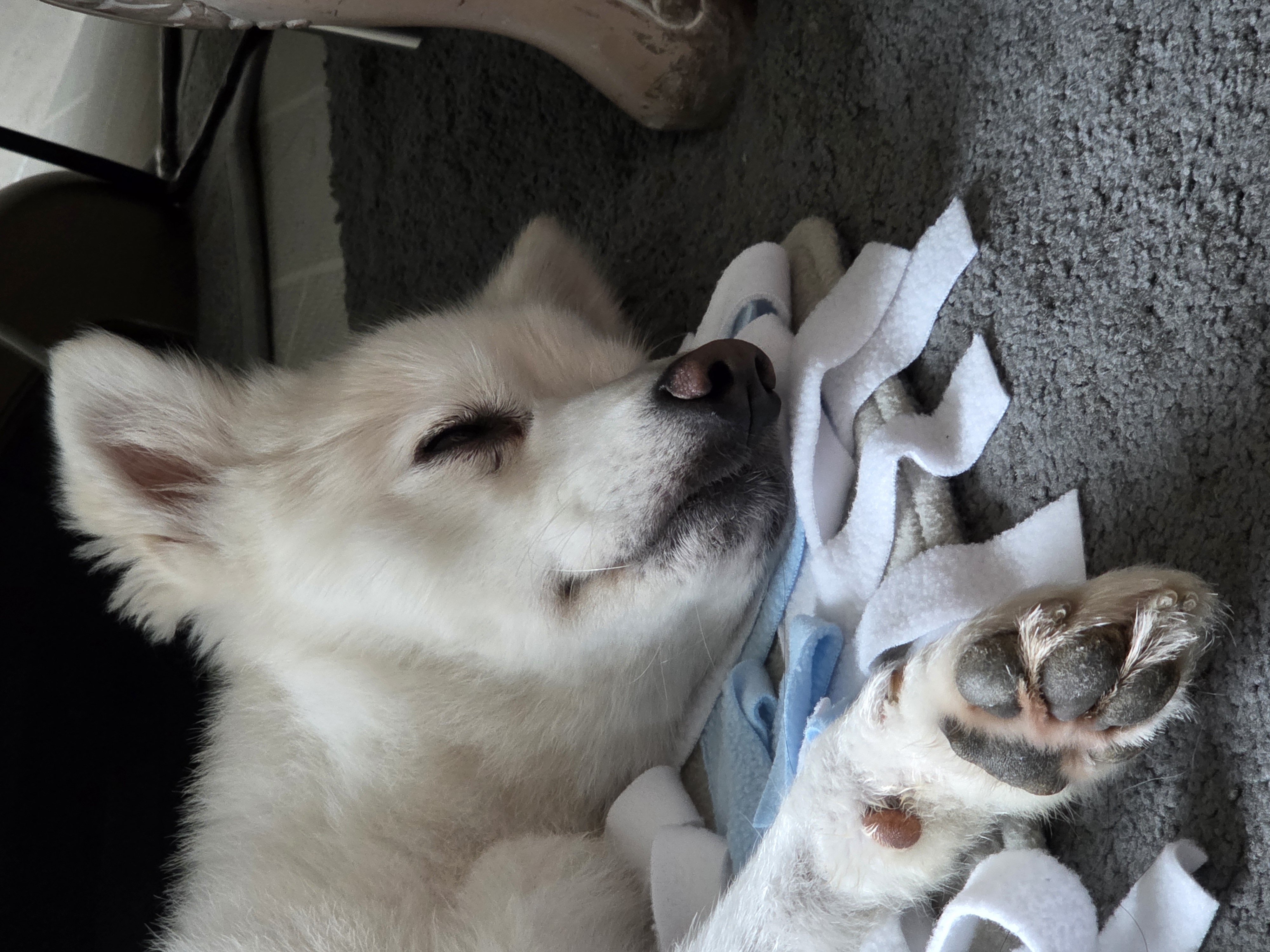 사랑둥이 다람이는 적응 완료!
