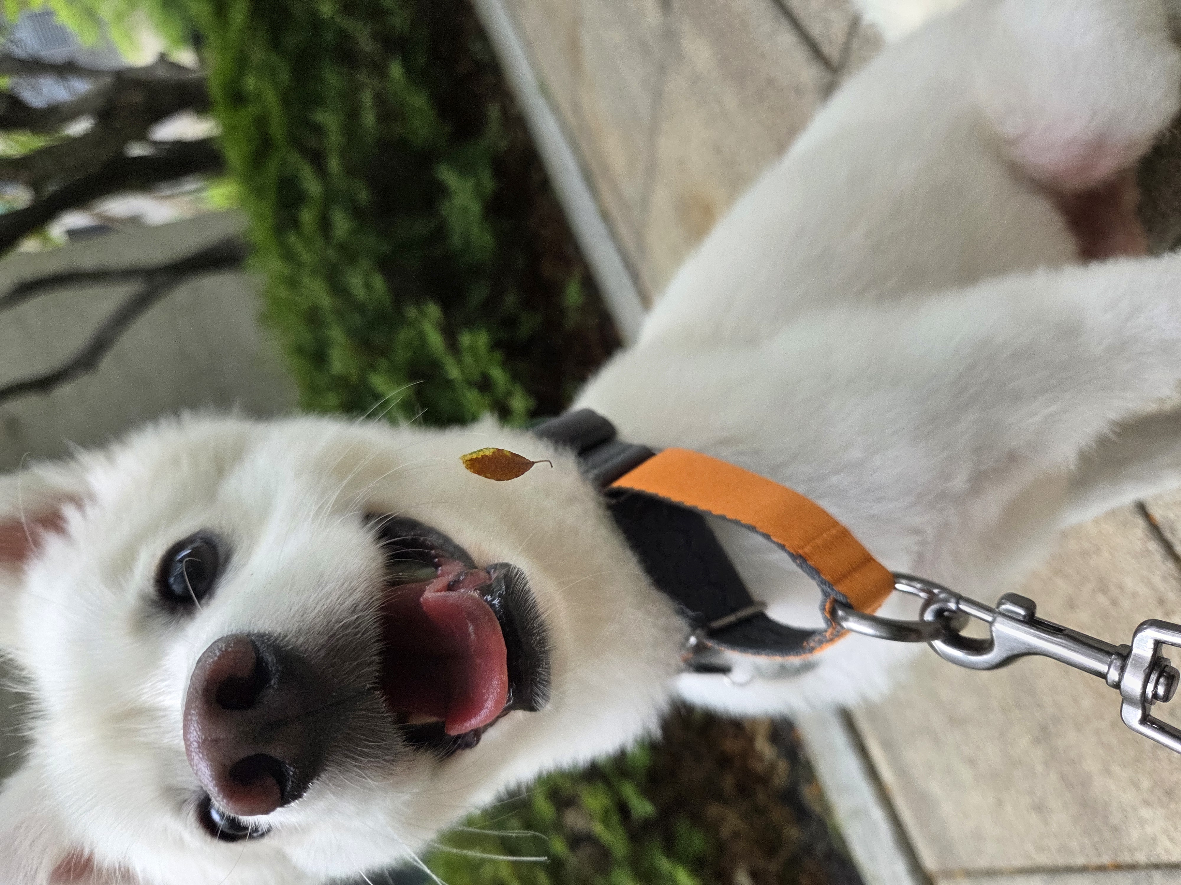 사랑둥이 다람이는 적응 완료!
