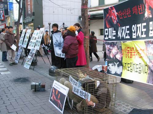 1/22 모피반대캠페인 사진