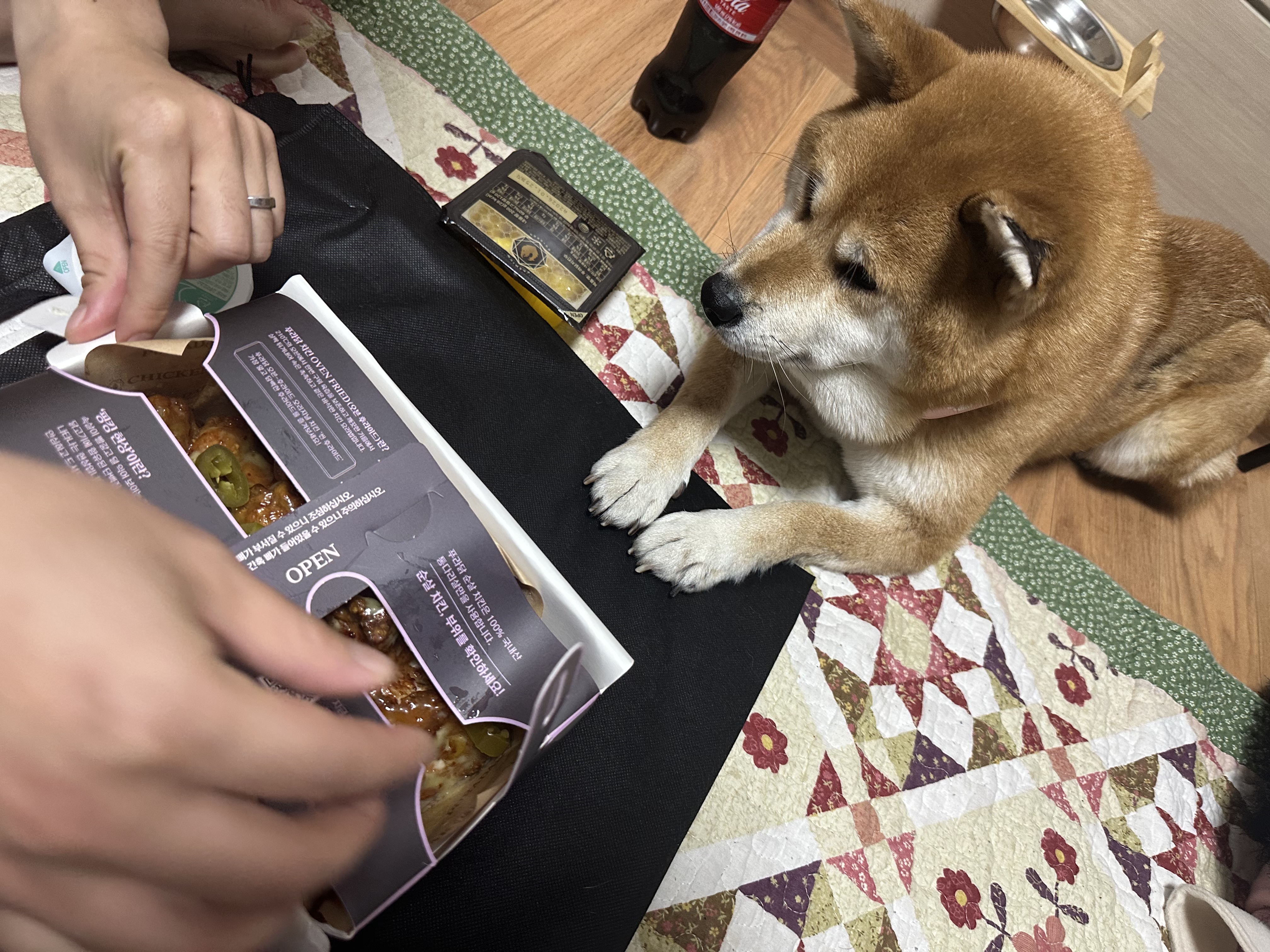 동배(쫑쫑이)와 어느덧 5개월을 함께 했습니다!